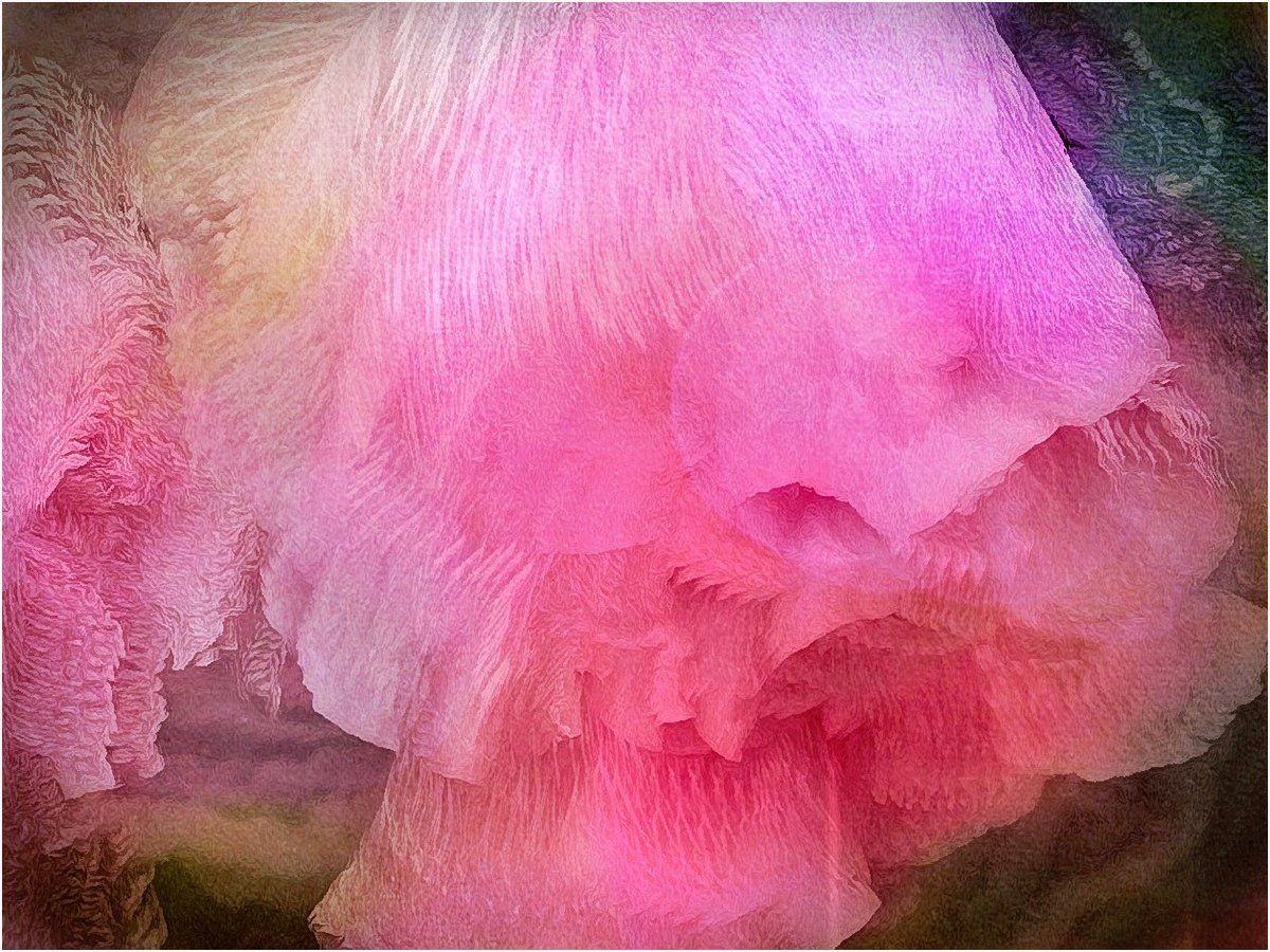 A close up of a pink flower with a green background