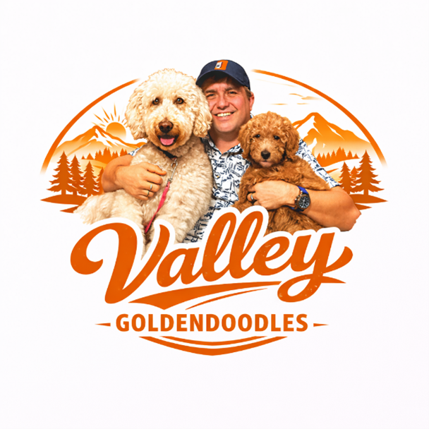 Valley Goldendoodles