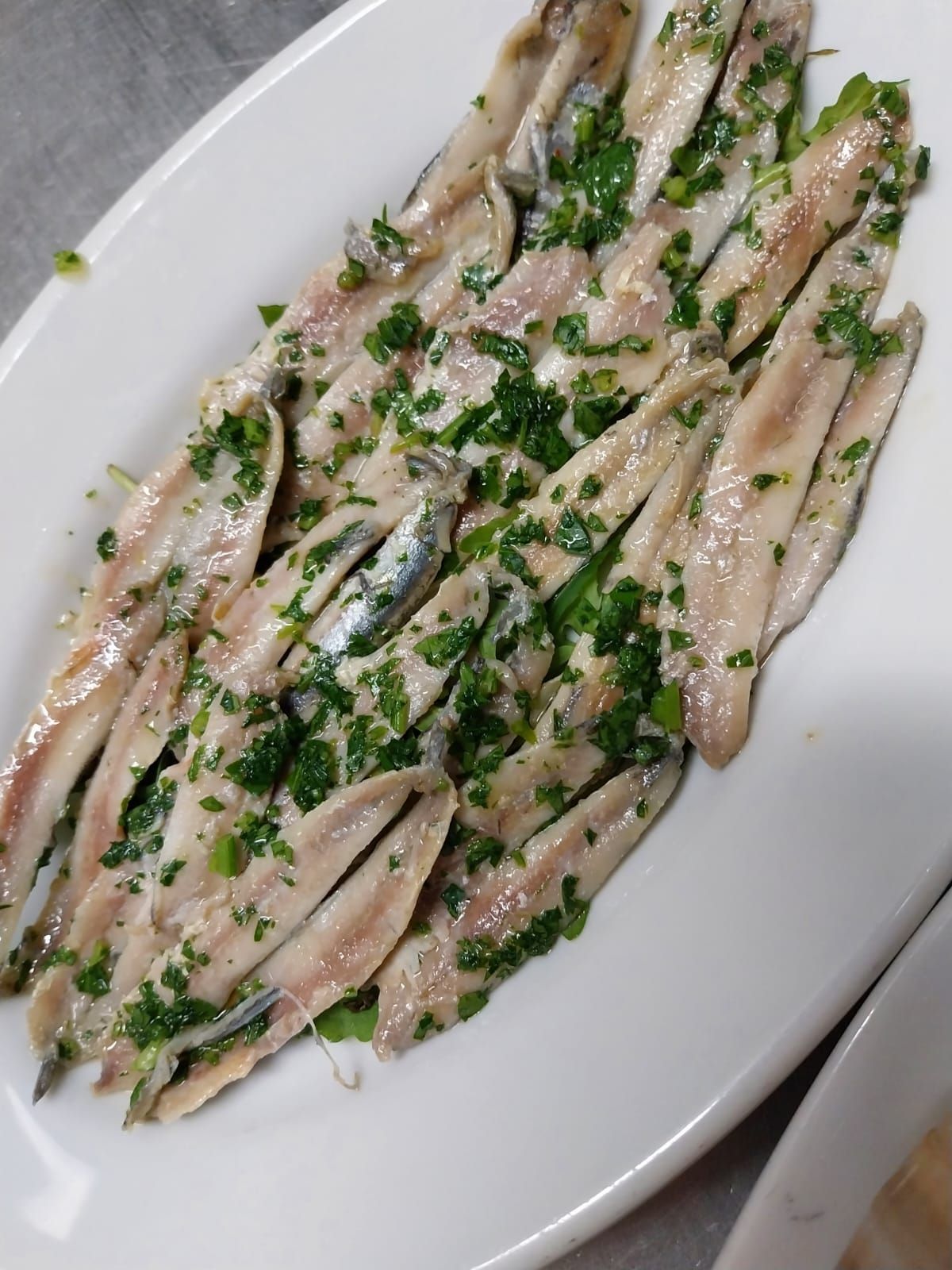 sardine