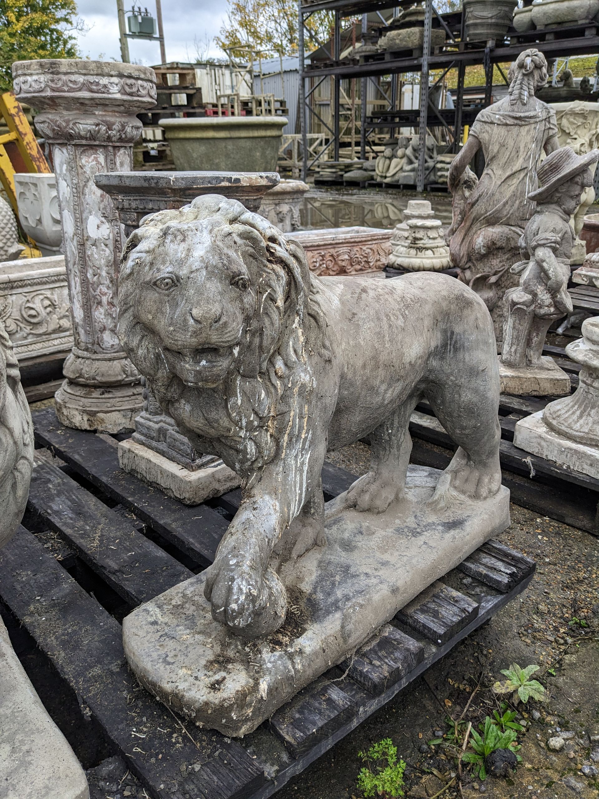 lion facing right stone garden statue