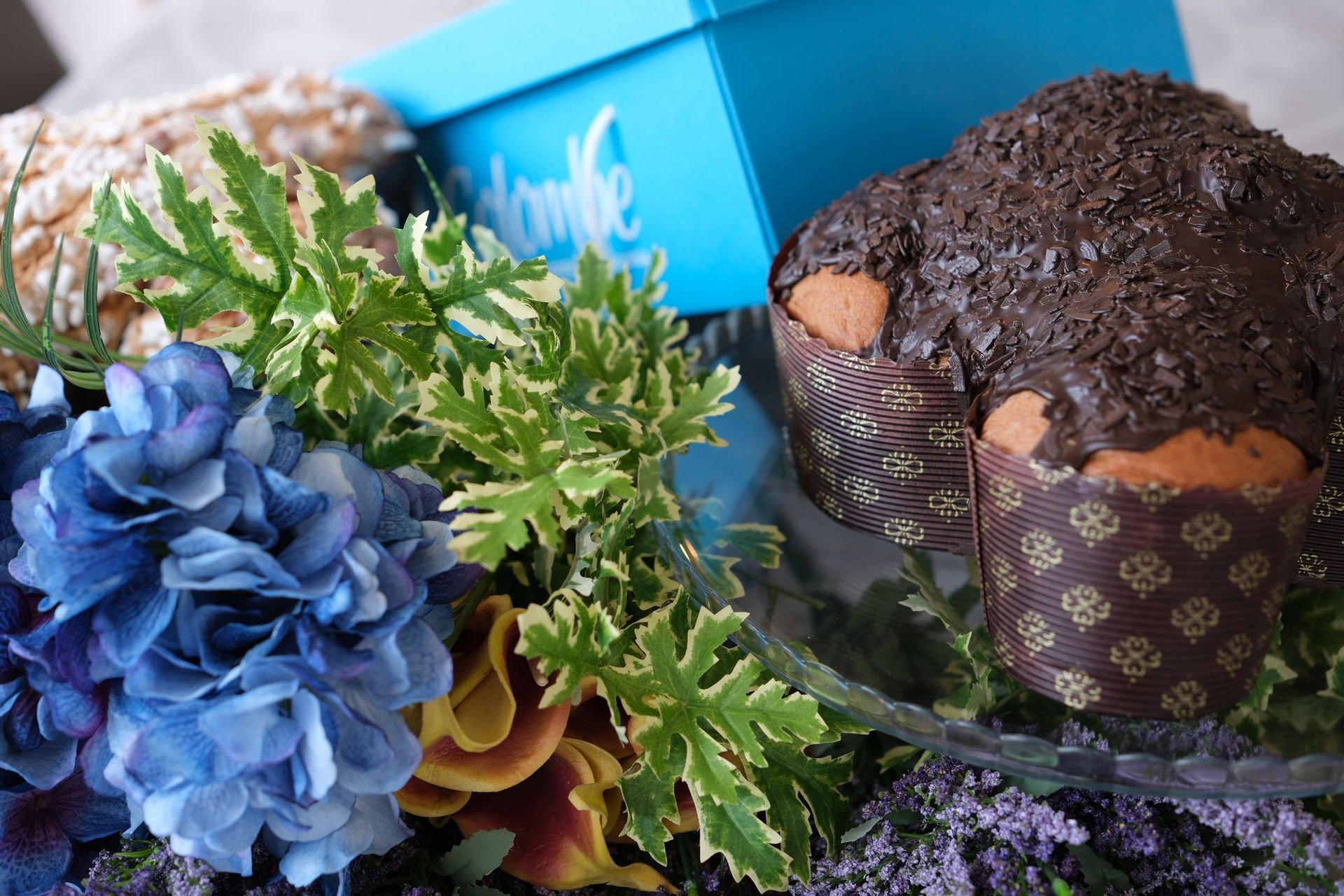colomba al cioccolato  a Frosinone