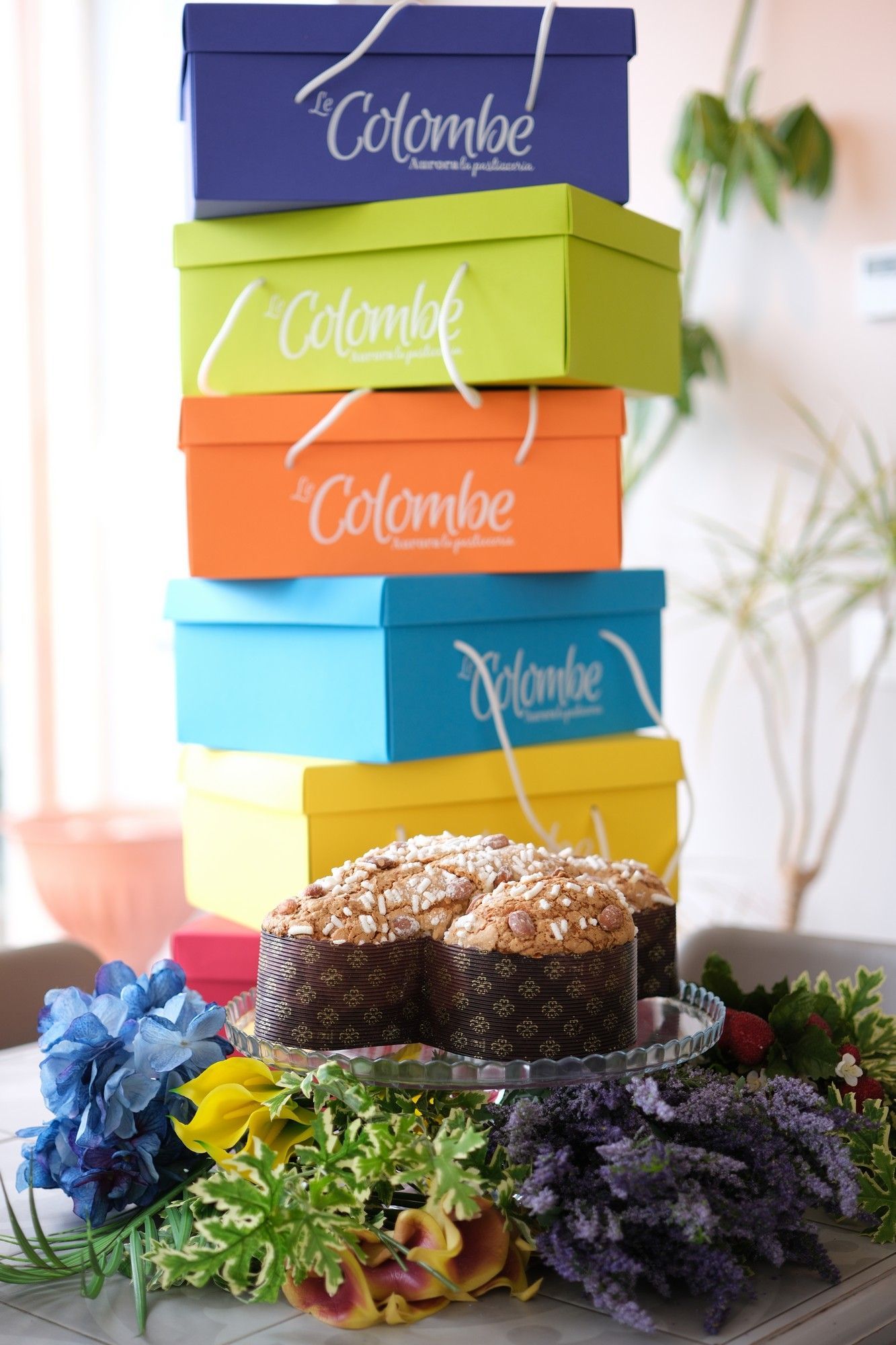 colomba  a Frosinone artigianale 