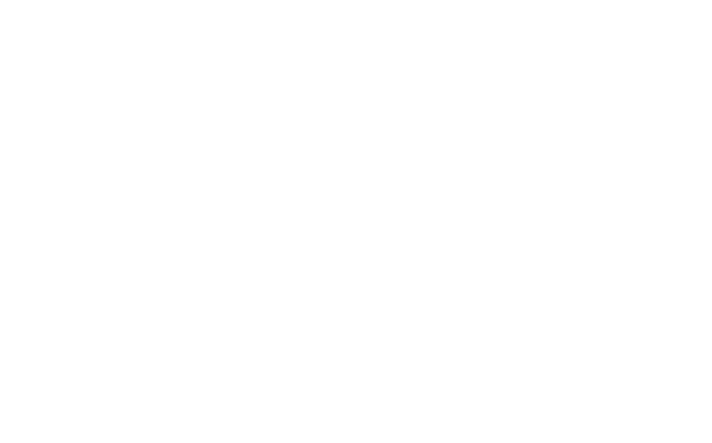 Barnes Insurance Group
