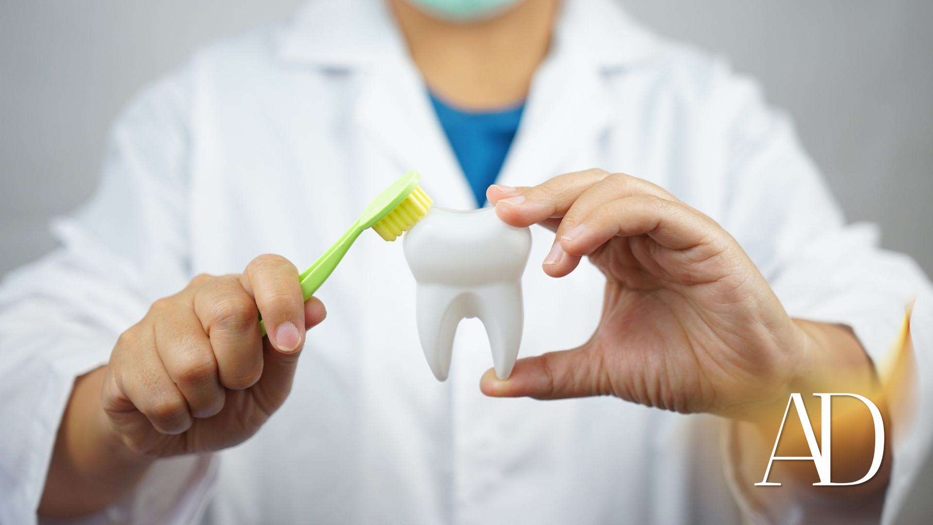 Dentist brushing a model tooth with a green toothbrush in a clinic
