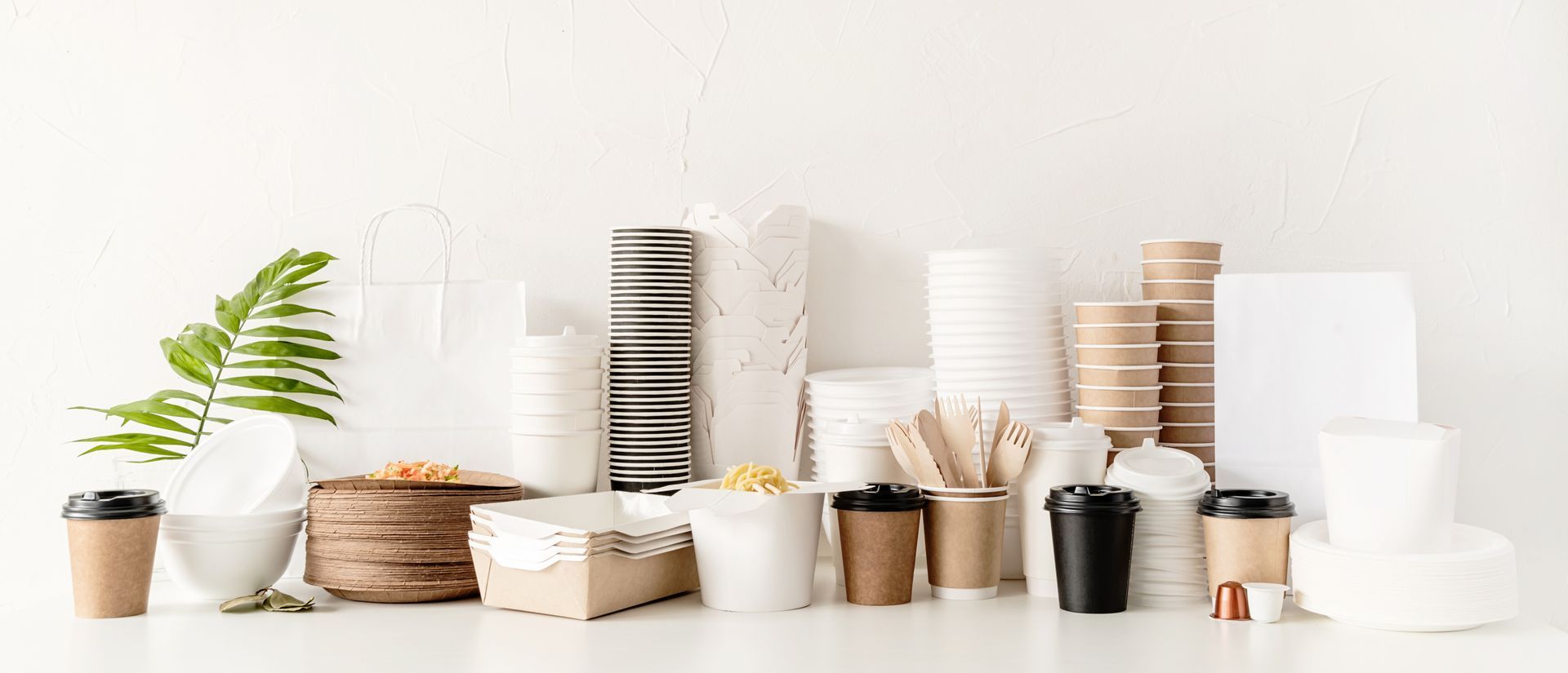 Eco-friendly disposable food containers, cups, & packaging neatly arranged on a clean white surface.
