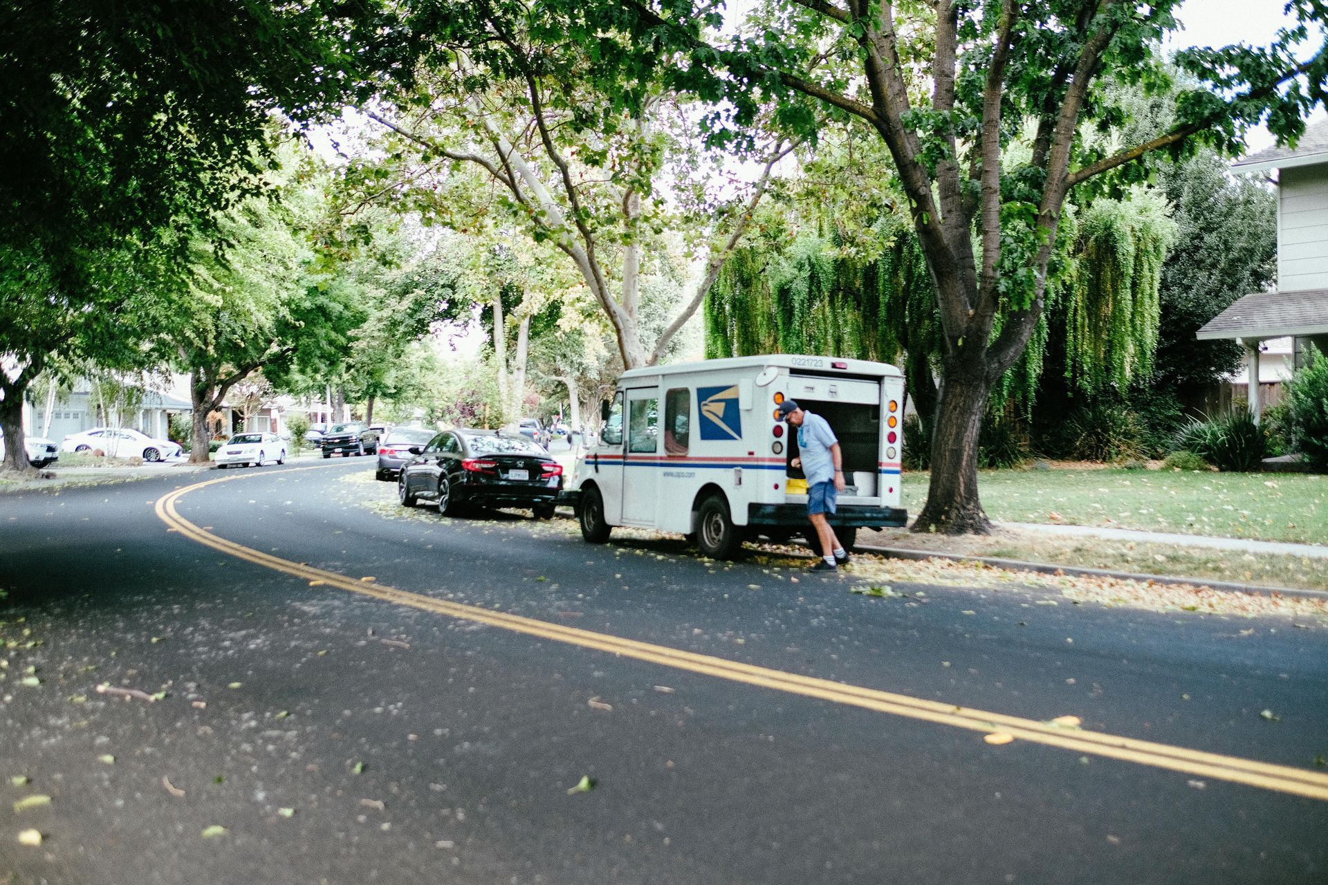 Tree-lined street with parked cars and a white utility truck on the roadside