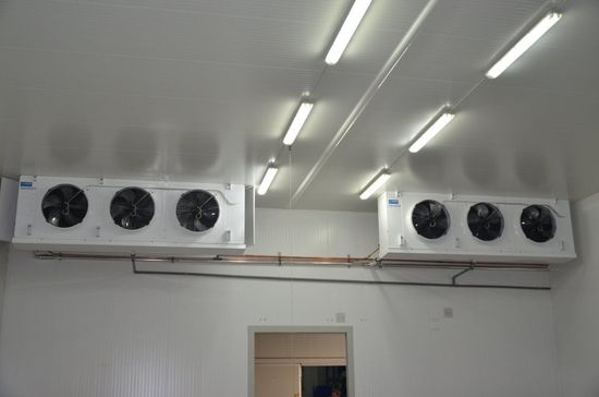 Motori di refrigerazione