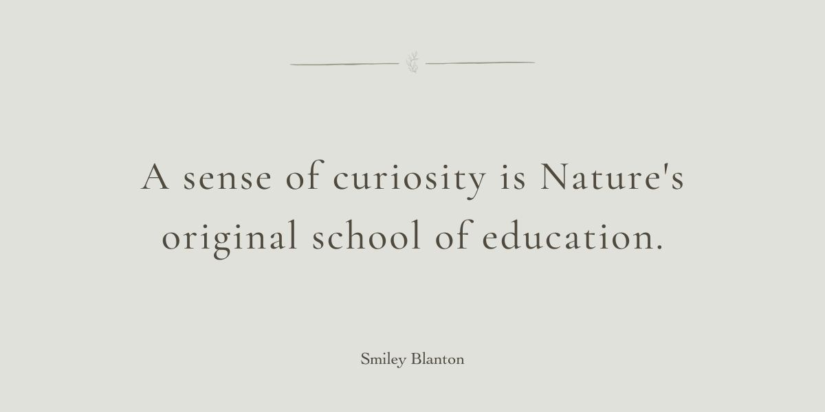 The Nature of Curiosity by Sue Cartwright, Spiral Leaf The Nature of Curiosity by Sue Cartwright, Spiral Leaf