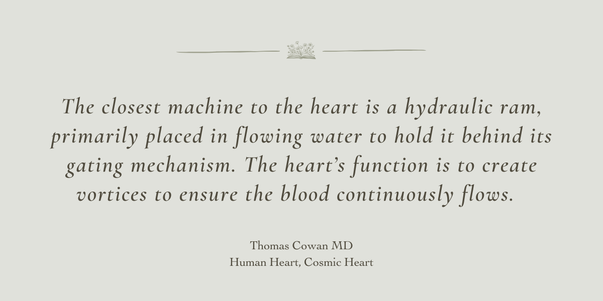Human Heart, Cosmic Heart by Thomas Cowan MD - Book Review by Sue Cartwright, Spiral Leaf Human Heart, Cosmic Heart by Thomas Cowan MD - A Book Review by Sue Cartwright, Spiral Leaf