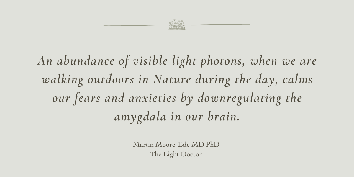 The Light Doctor by Martin Moore-Ede MD PhD - A Book Review by Sue Cartwright, Spiral Leaf The Light Doctor by Martin Moore-Ede MD PhD - A Book Review by Sue Cartwright, Spiral Leaf