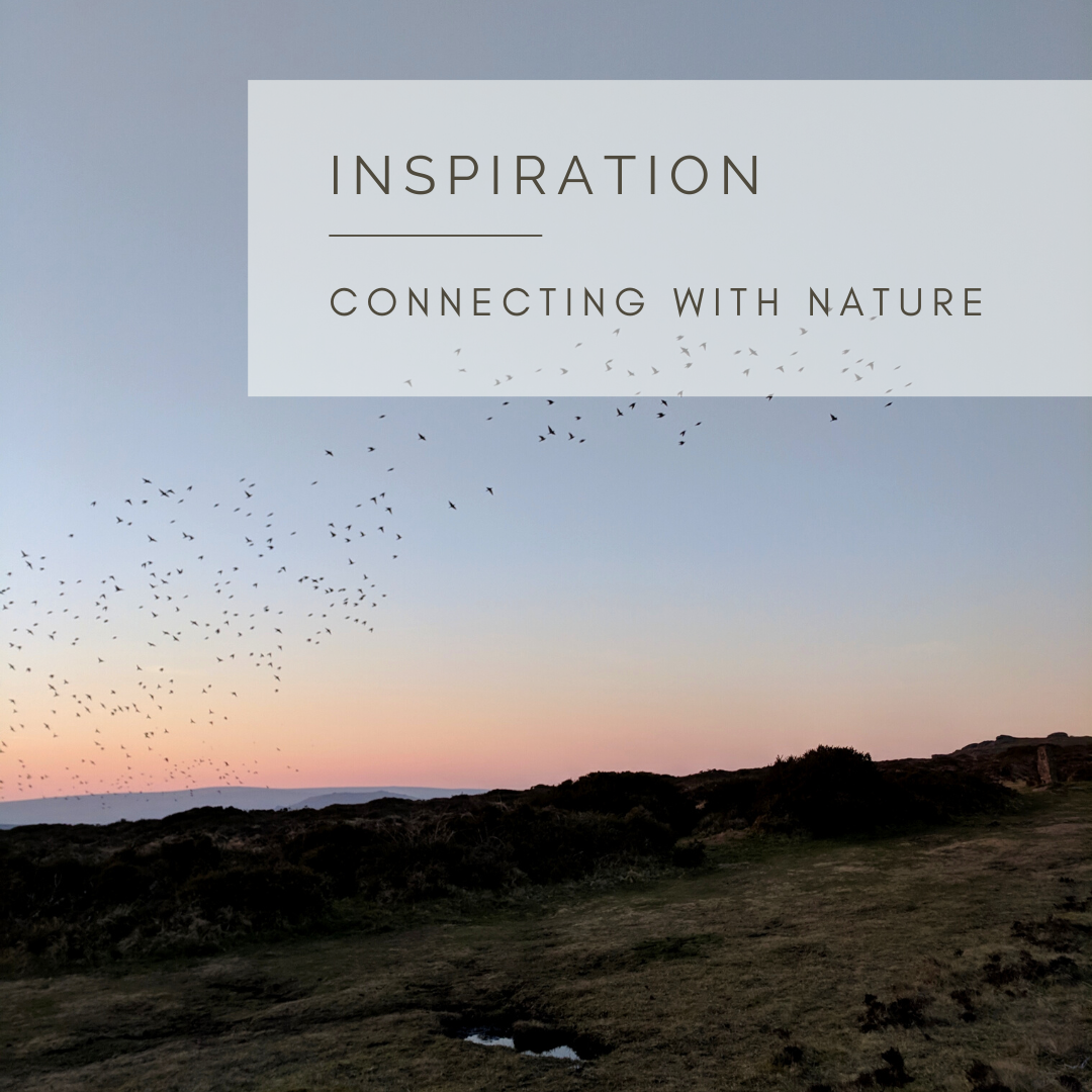 Inspiration, Nurturing Our Connection by Sue Cartwright, Spiral Leaf