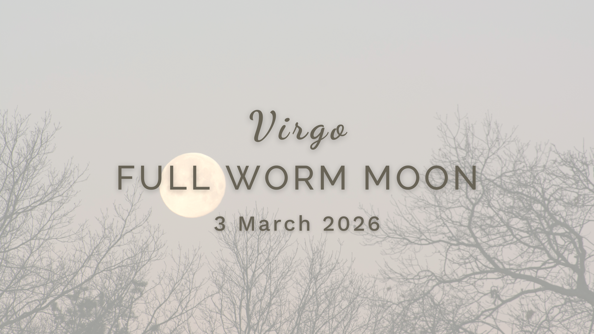 Full Worm Moon in Virgo - Tuesday 3 March (2026) by Sue Cartwright, Spiral Leaf Full Worm Moon in Virgo - Tuesday 3 March (2026) by Sue Cartwright, Spiral Leaf