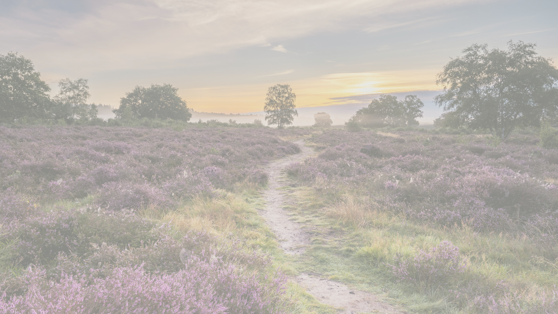 Ideas of things to do in Nature in August