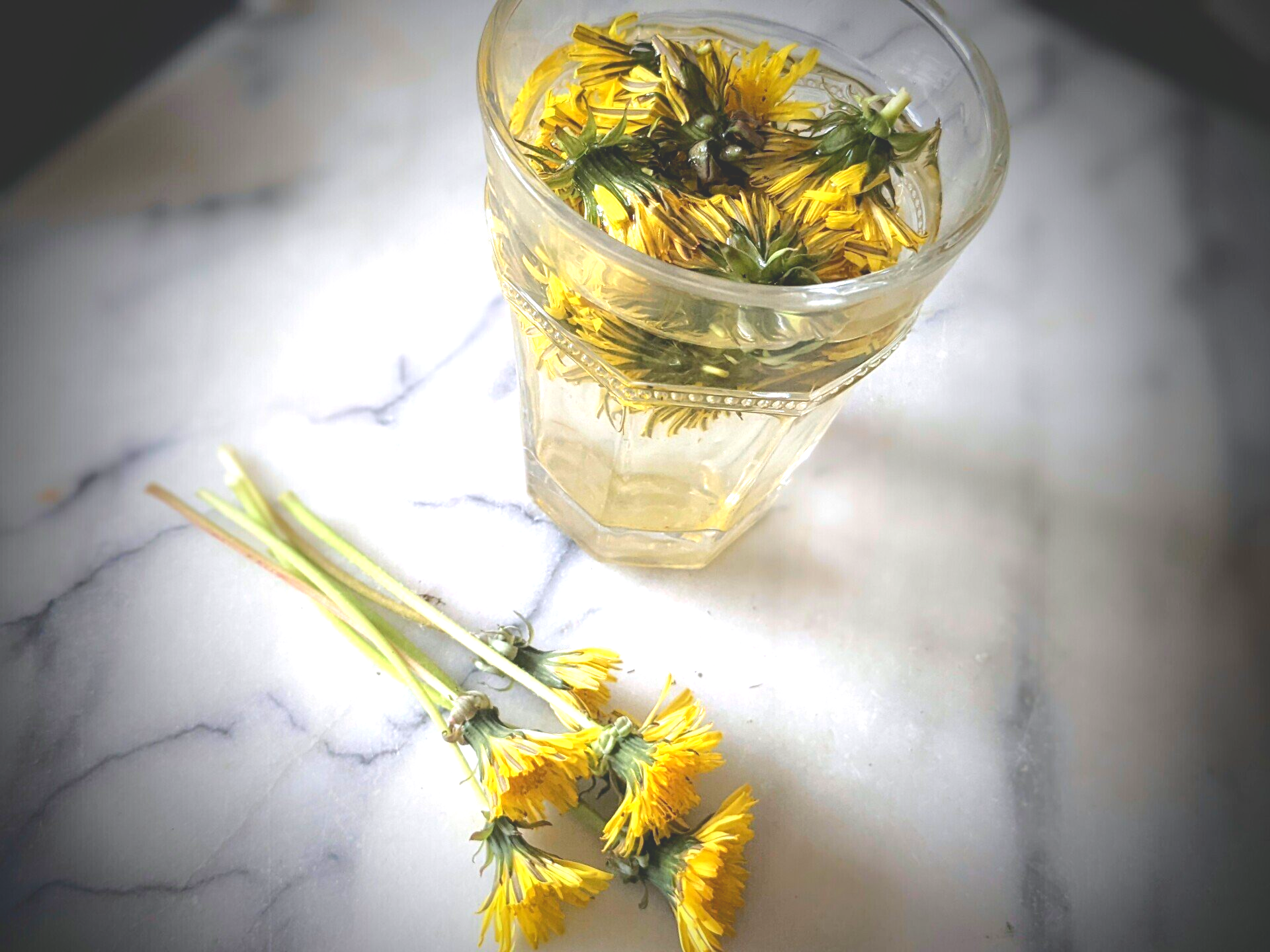 Dandelion Flower Water - A Remedy by Sue Cartwright, Spiral Leaf