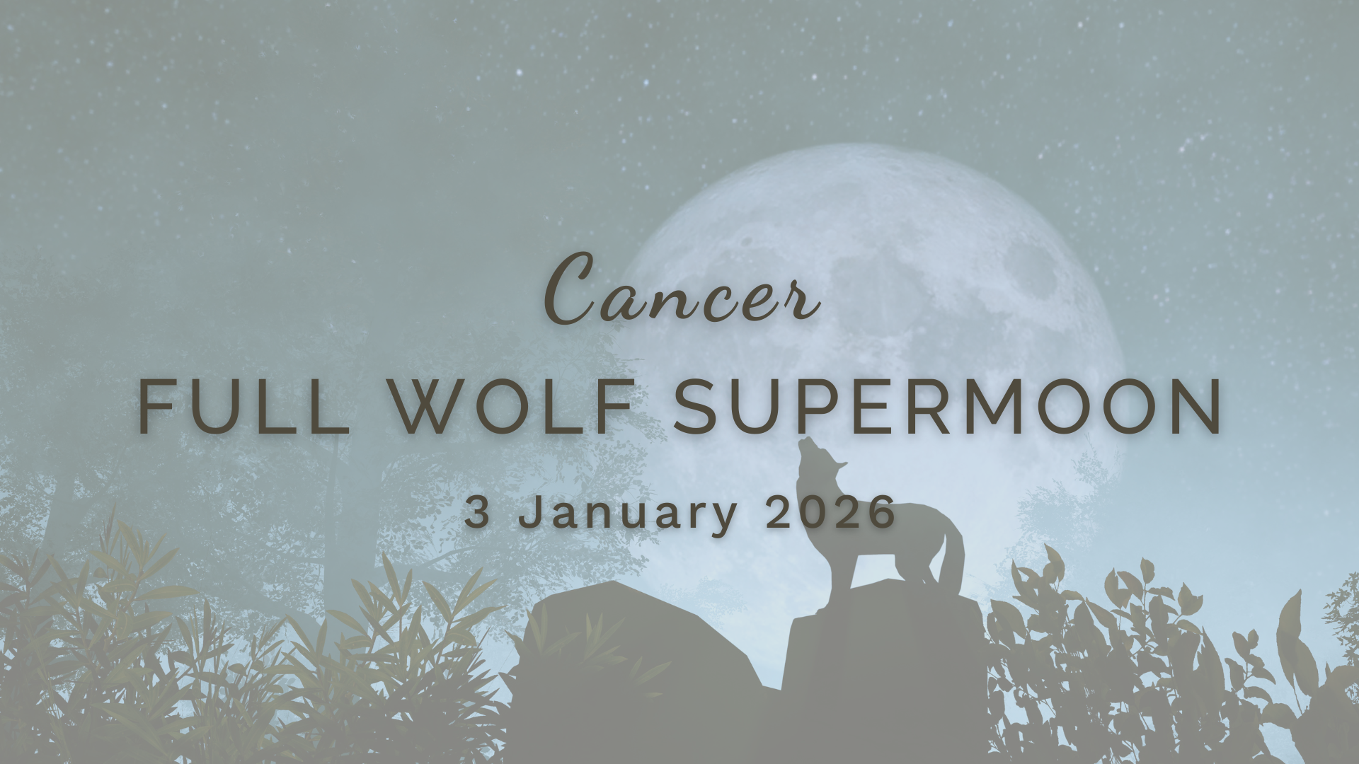 Full Wolf Supermoon in Cancer - Saturday 3 January (2026) by Sue Cartwright, Spiral Leaf Full Wolf Supermoon in Cancer - Saturday 3 January (2026) by Sue Cartwright, Spiral Leaf