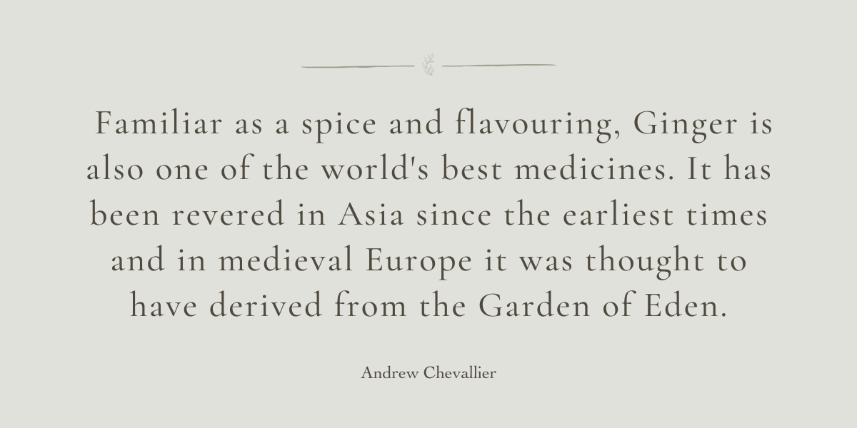 A Healing Spice (Ginger) by Sue Cartwright, Spiral Leaf A Healing Spice (Ginger) by Sue Cartwright, Spiral Leaf