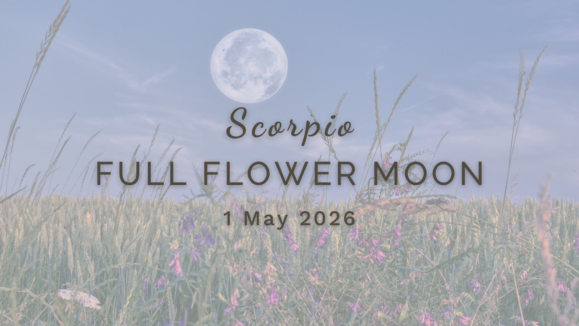 Full Flower Moon in Scorpio - Friday 1 May (2026) by Sue Cartwright, Spiral Leaf