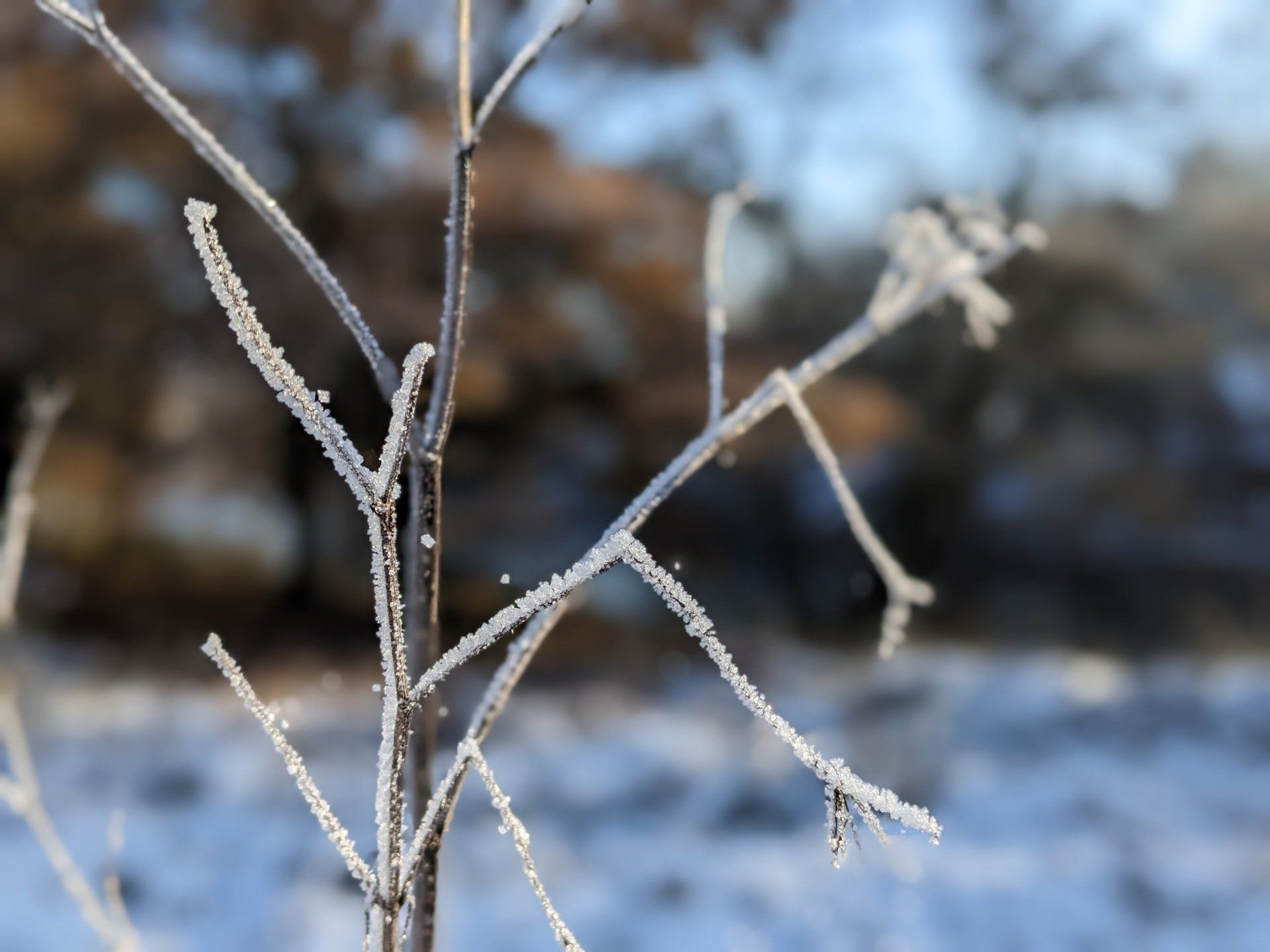 Winter Wonderland - A Poem by Sue Cartwright, Spiral Leaf