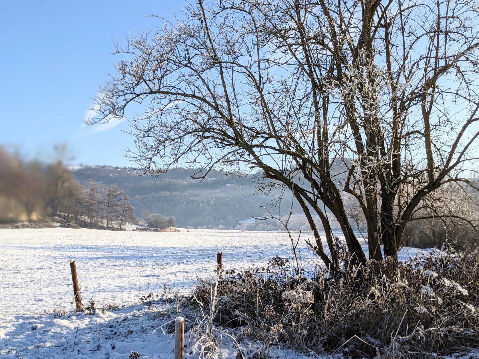 Winter Wonderland - A Poem by Sue Cartwright, Spiral Leaf
