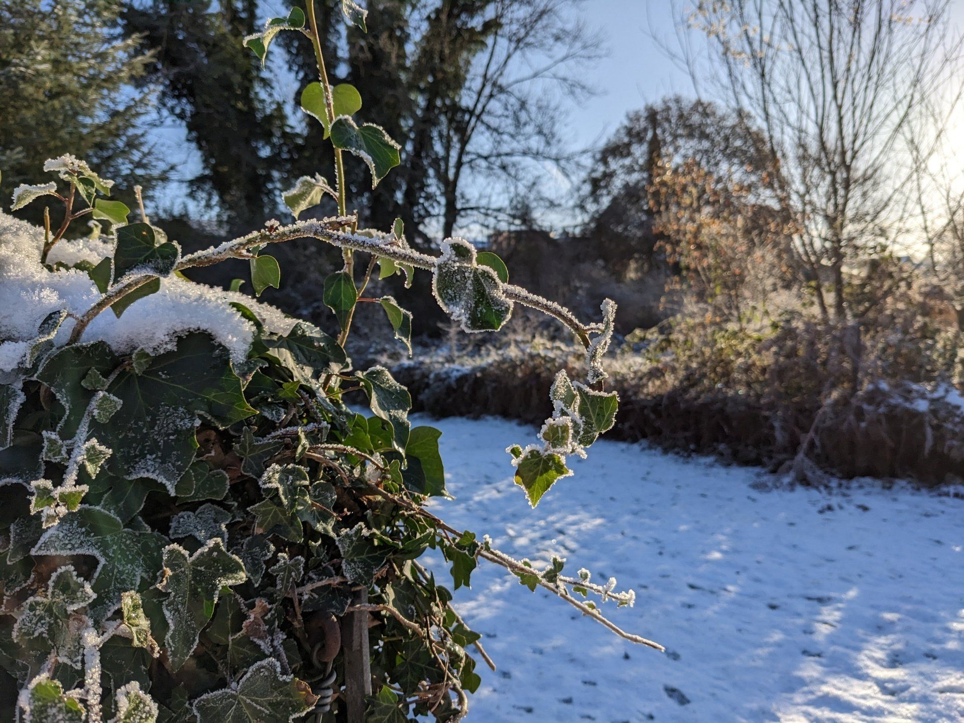 Winter Wonderland - A Poem by Sue Cartwright, Spiral Leaf