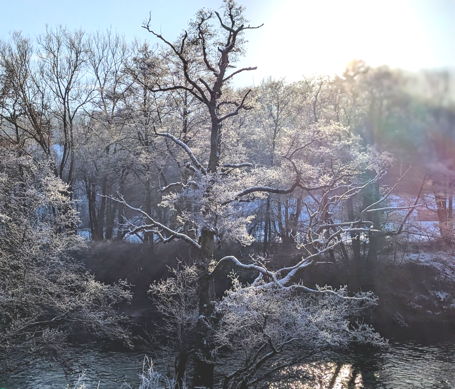 Winter Wonderland - A Poem by Sue Cartwright, Spiral Leaf