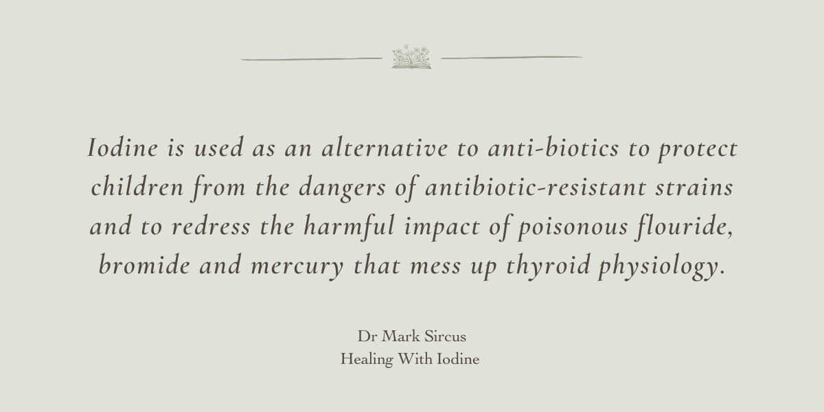 Healing With Iodine by Dr Mark Sircus - A Book Review by Sue Cartwright, Spiral Leaf