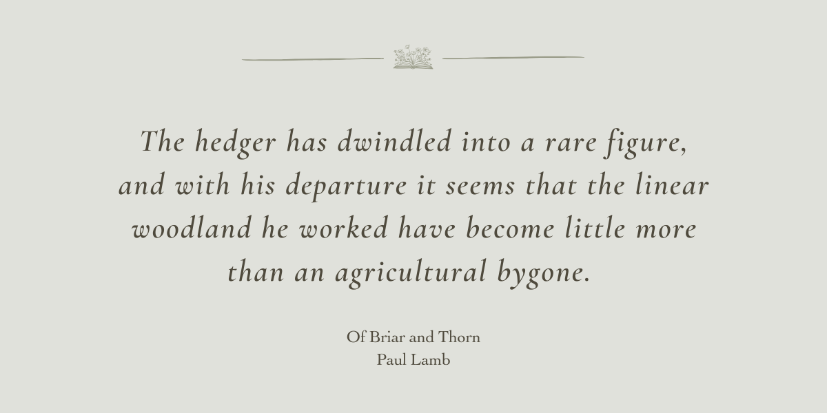 Of Briar and Thorn by Paul Lamb - A Book Review by Sue Cartwright, Spiral Leaf Of Briar and Thorn by Paul Lamb - A Book Review by Sue Cartwright, Spiral Leaf