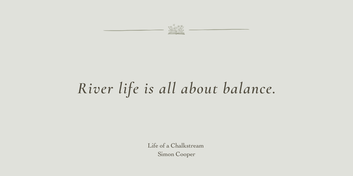 Life on a Chalkstream by Simon Cooper - Book Review by Sue Cartwright, Spiral Leaf