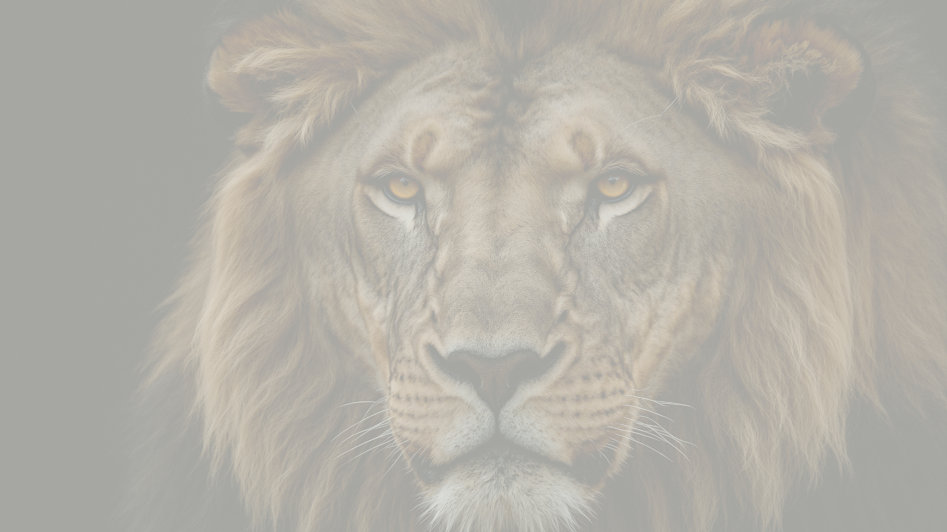 A poem about the energy of the Lion's Gate Portal
