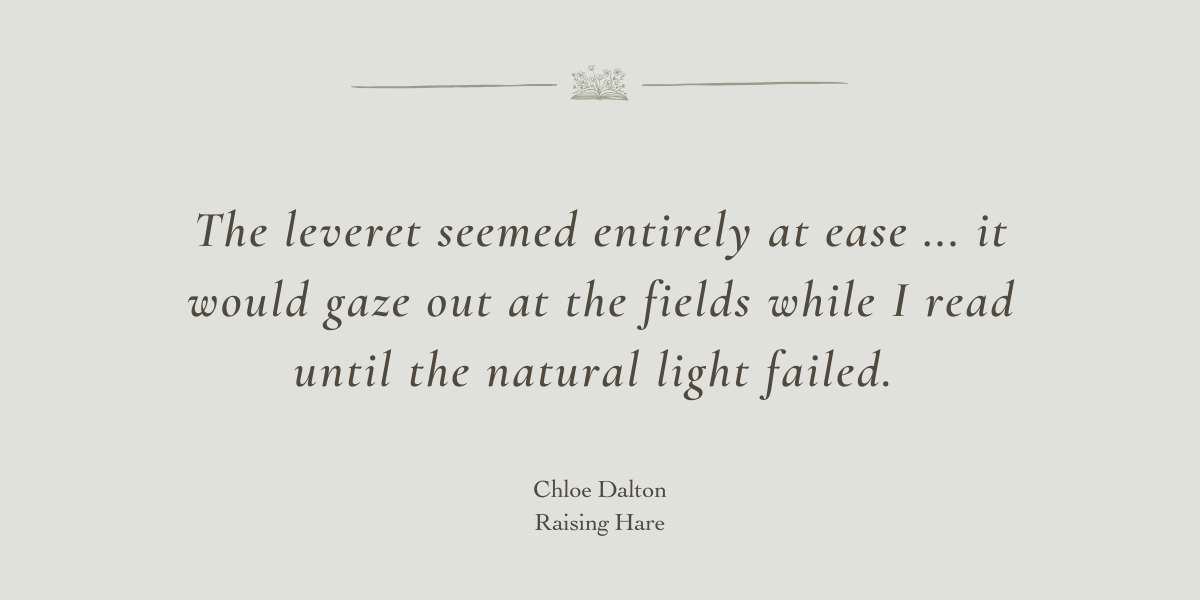 Raising Hare by Chloe Dalton - A Book Review by Sue Cartwright, Spiral Leaf