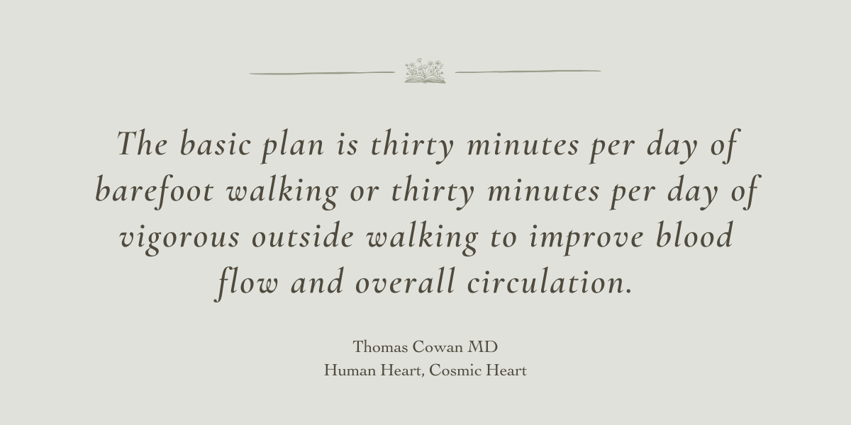 Human Heart, Cosmic Heart by Thomas Cowan MD - A Book Review by Sue Cartwright, Spiral Leaf