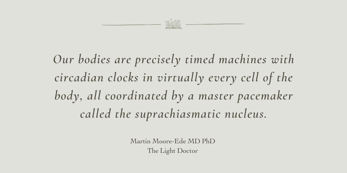 The Light Doctor by Martin Moore-Ede MD PhD - A Book Review by Sue Cartwright, Spiral Leaf The Light Doctor by Martin Moore-Ede MD PhD - A Book Review by Sue Cartwright, Spiral Leaf