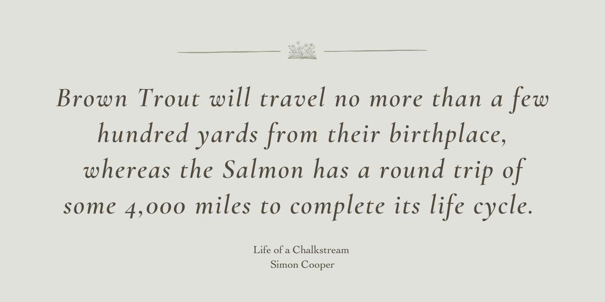 Life on a Chalkstream by Simon Cooper - Book Review by Sue Cartwright, Spiral Leaf