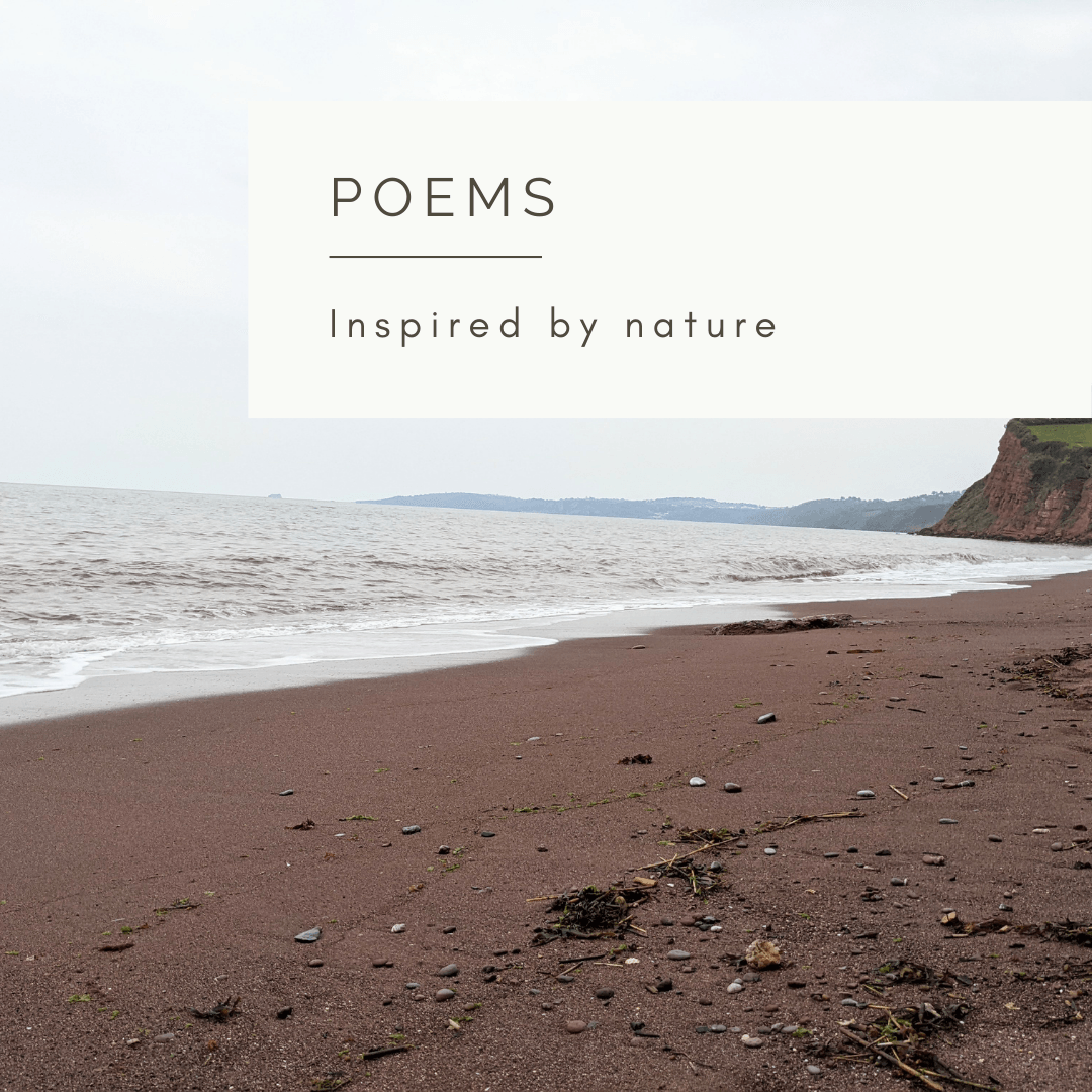 Breathing In - Poem and Video  by Sue Cartwright, Spiral Leaf