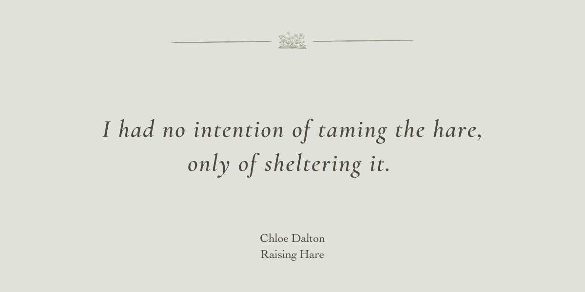 Raising Hare by Chloe Dalton - A Book Review by Sue Cartwright, Spiral Leaf