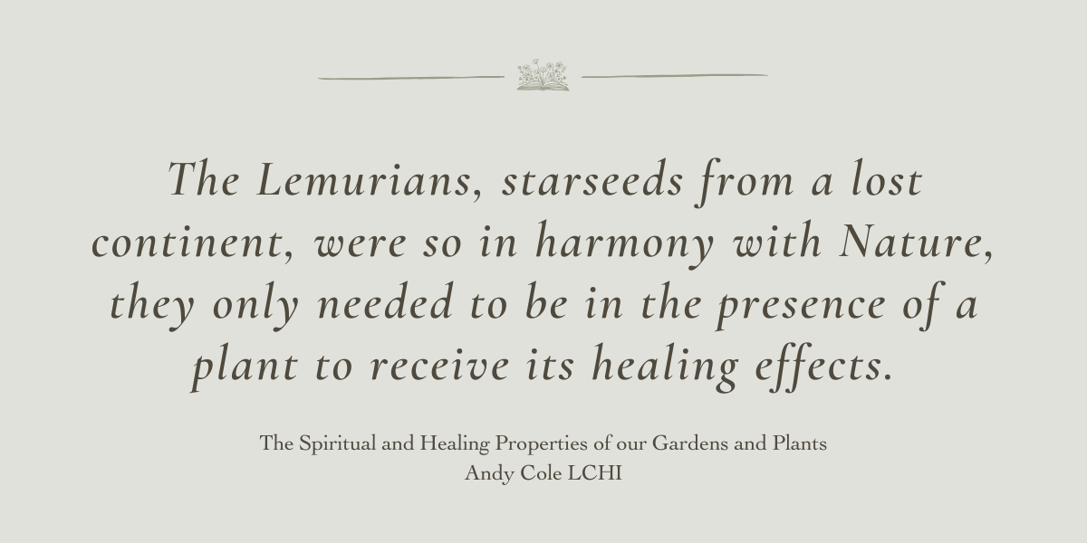 The Spiritual and Healing Properties of our Gardens and Plants by Andy Cole LCHI - Book Review by Sue Cartwright, Spiral Leaf The Spiritual and Healing Properties of our Gardens and Plants by Andy Cole LCHI - Book Review by Sue Cartwright, Spiral Leaf
