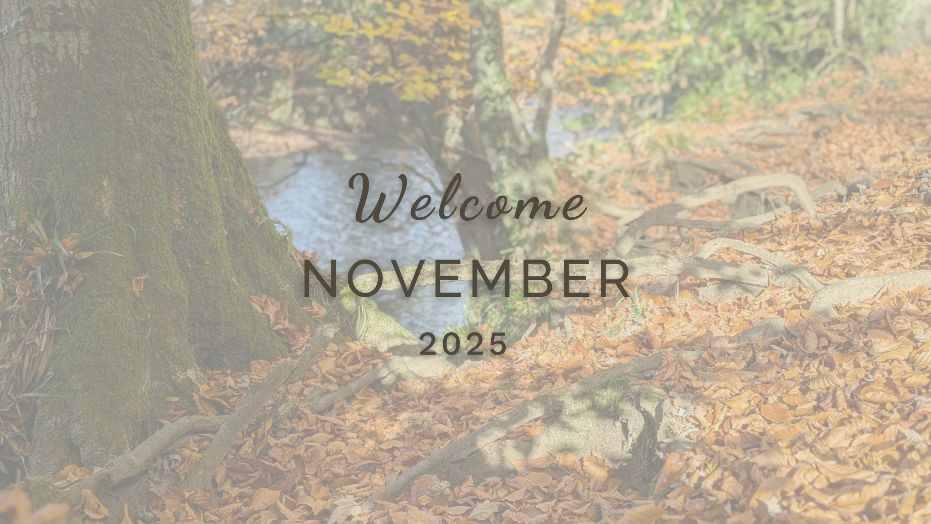 Welcome November (Almanac 2025) by Sue Cartwright, Spiral Leaf Welcome November (Almanac 2025) by Sue Cartwright, Spiral Leaf