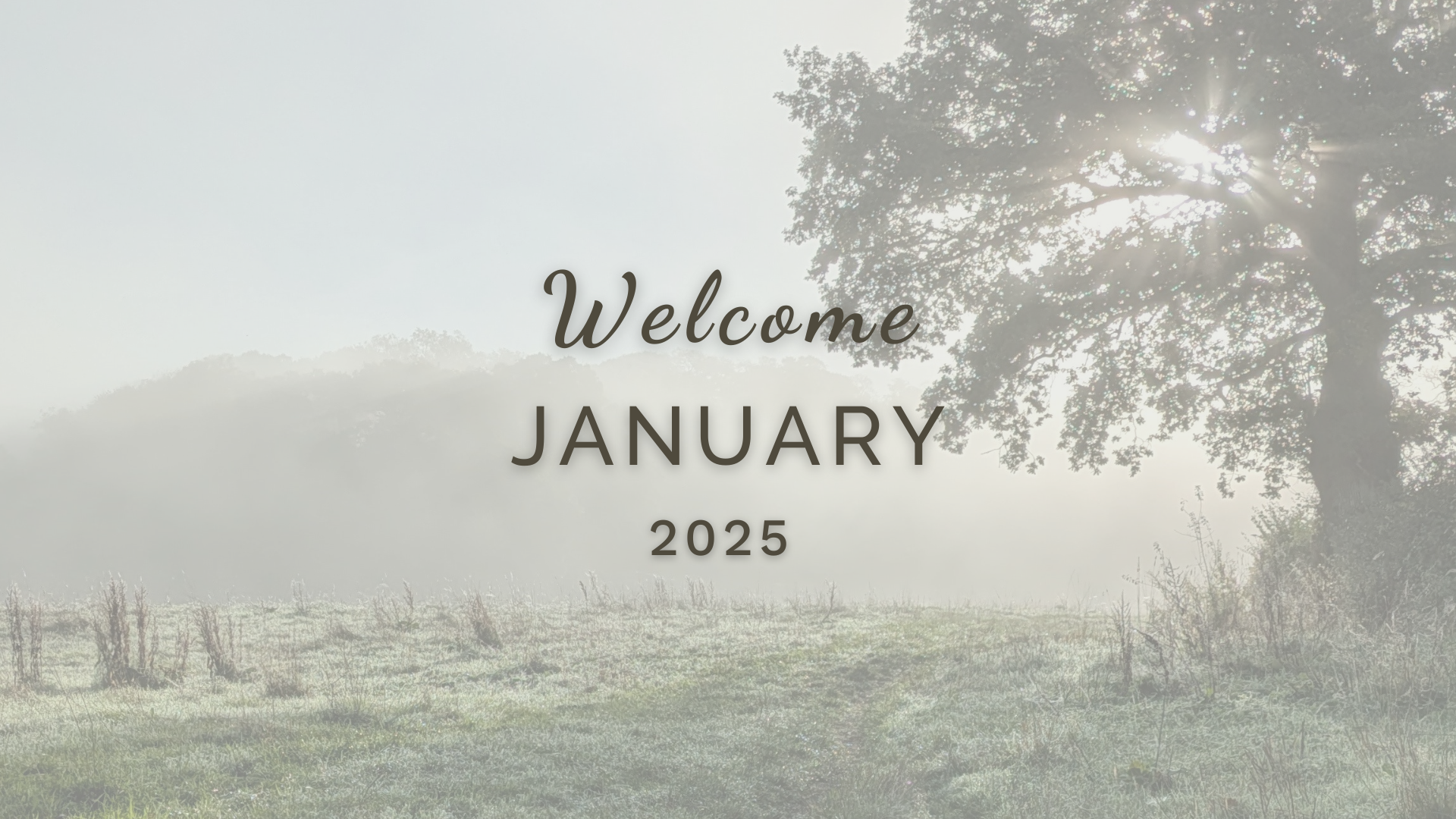 Welcome January (Almanac 2025) by Sue Cartwright, Spiral Leaf Welcome January (Almanac 2025) by Sue Cartwright, Spiral Leaf