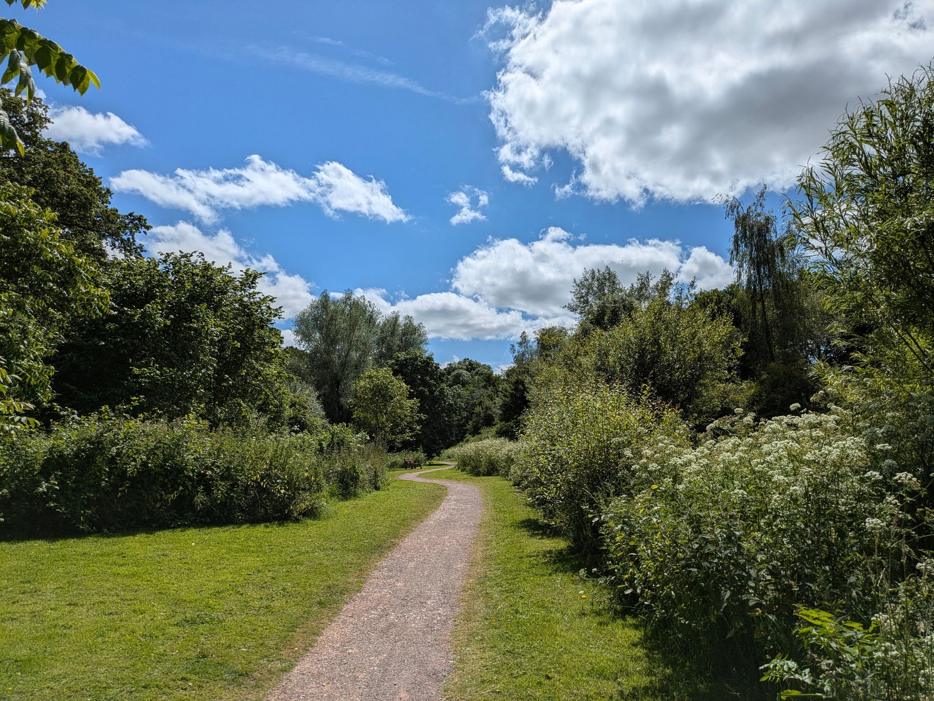 Blue Skies Gallery - Photograph by Sue Cartwright, Spiral Leaf