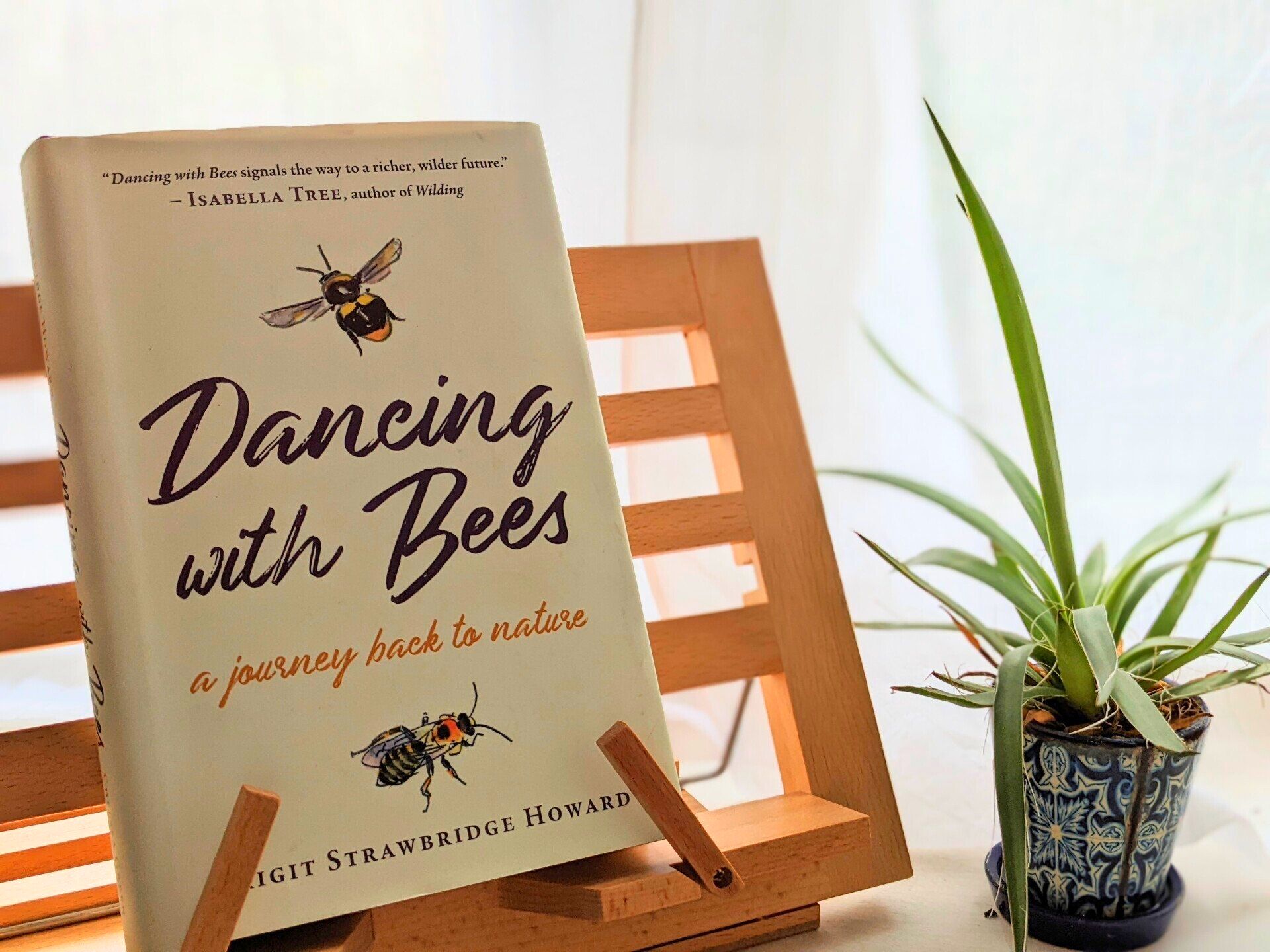 Dancing with Bees by Brigit Strawbridge - A book review by Sue Cartwright, SPiral Leaf