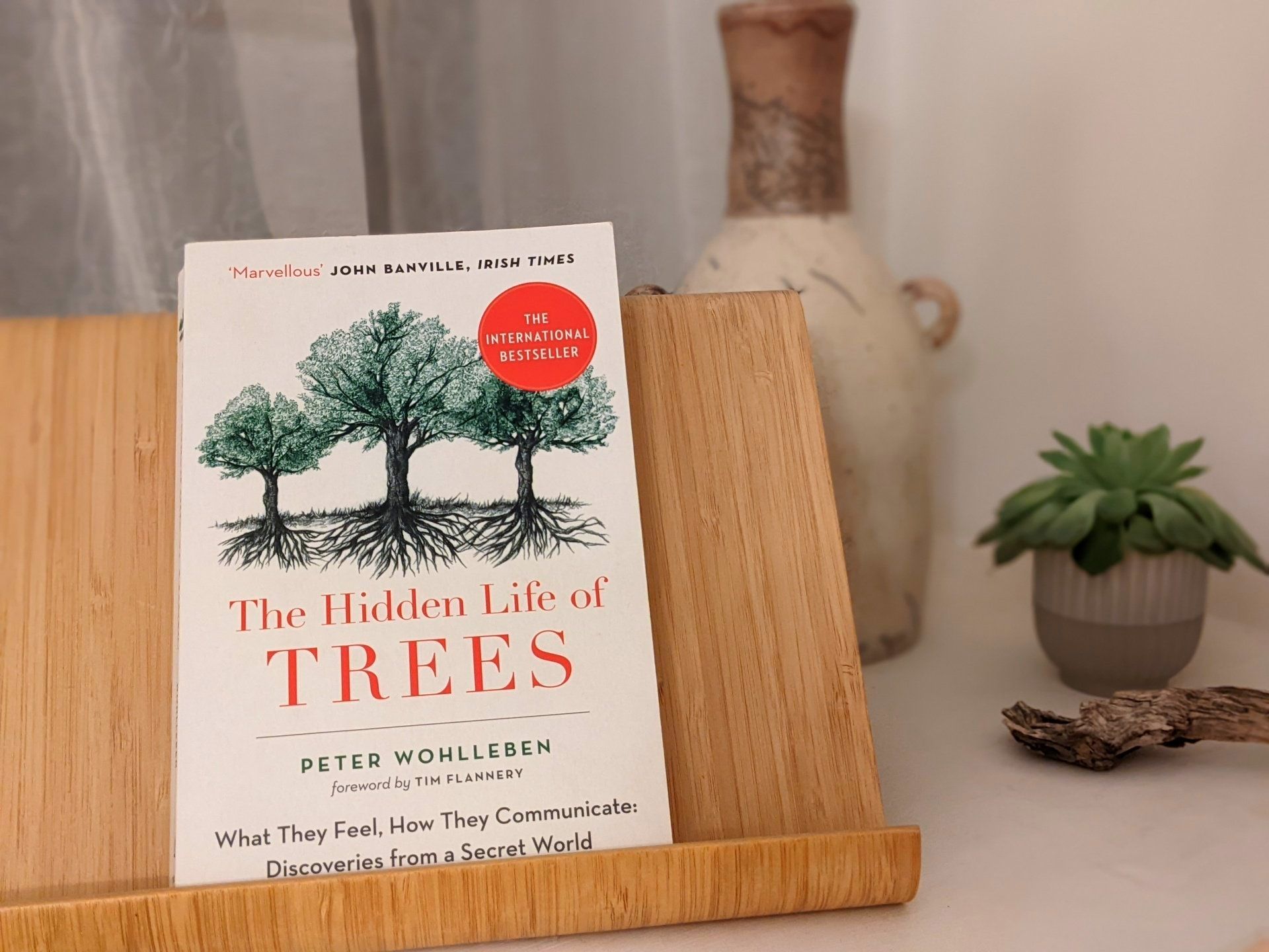 The Hidden Life of Trees by Peter Wohlleben - Book Review by Sue Cartwright, Spiral Leaf The Hidden Life of Trees by Peter Wohlleben - Book Review by Sue Cartwright, Spiral Leaf