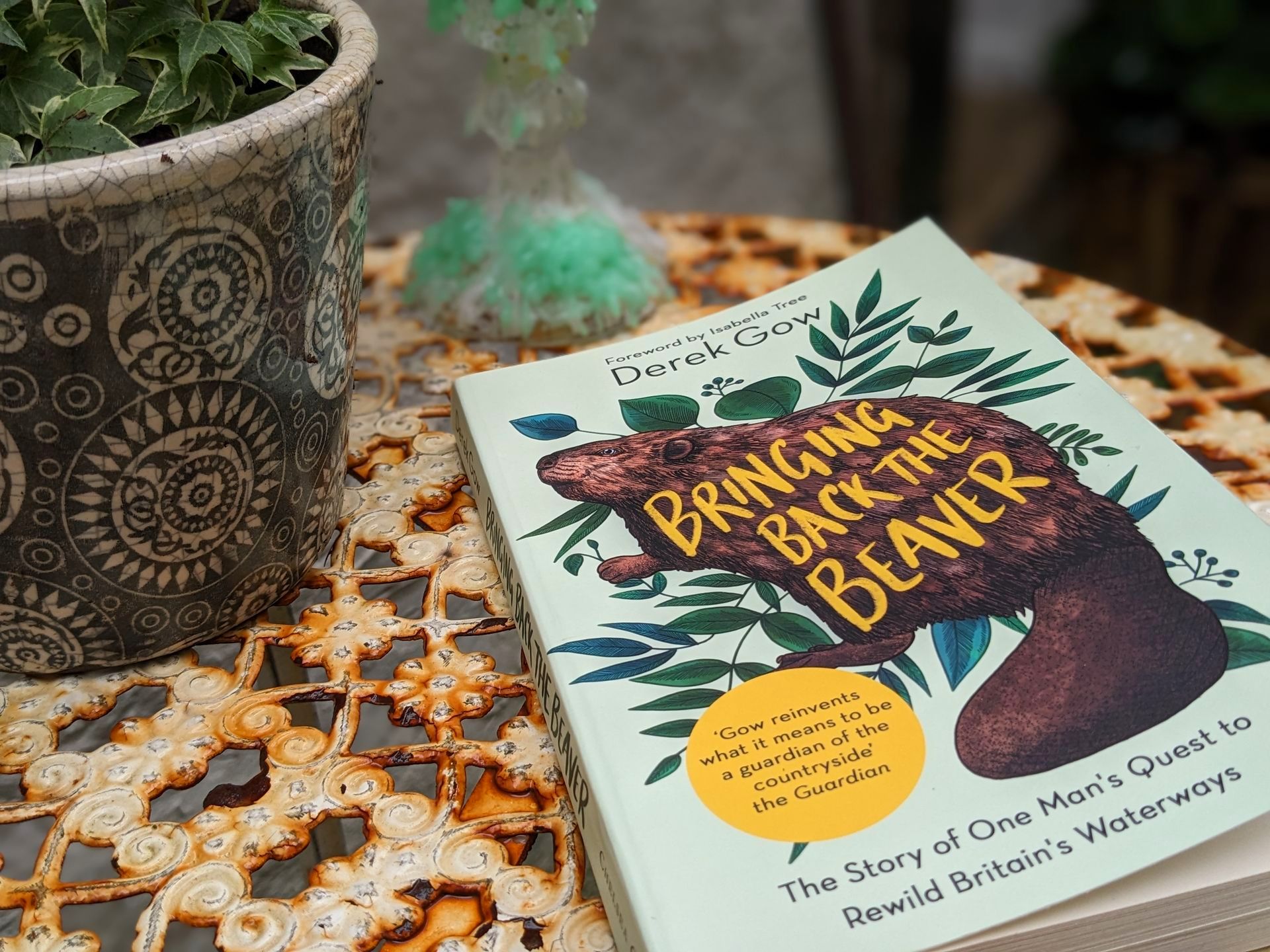 Bringing Back The Beaver by Derek Gow - Book Review by Sue Cartwright, Spiral Leaf Bringing Back The Beaver by Derek Gow - A Book Review by Sue Cartwright, Spiral Leaf