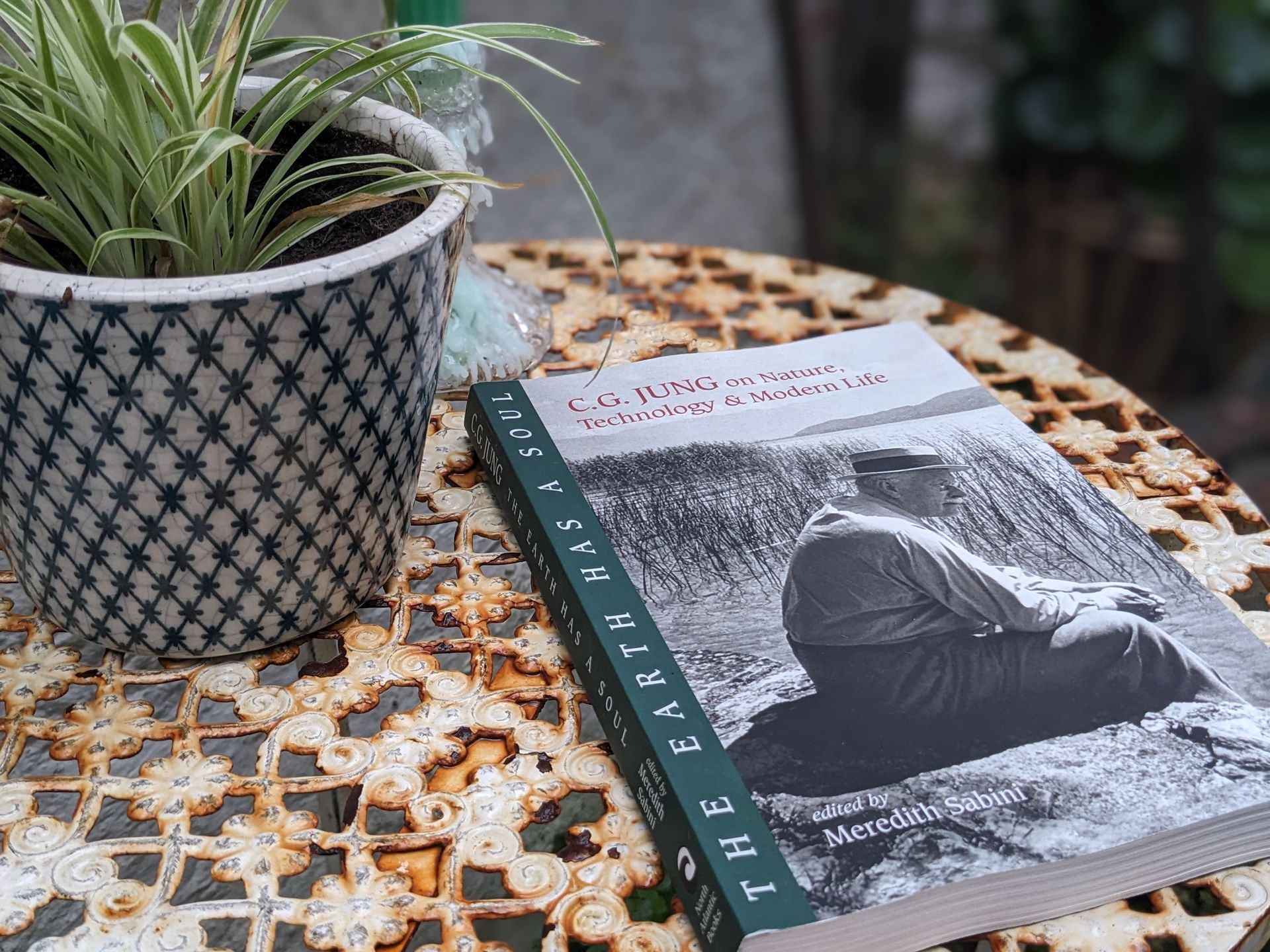 C G Jung on Nature by Meredith Sabini - Book Review by Sue Cartwright, Spiral Leaf C G Jung on Nature by Meredith Sabini - Book Review by Sue Cartwright, Spiral Leaf