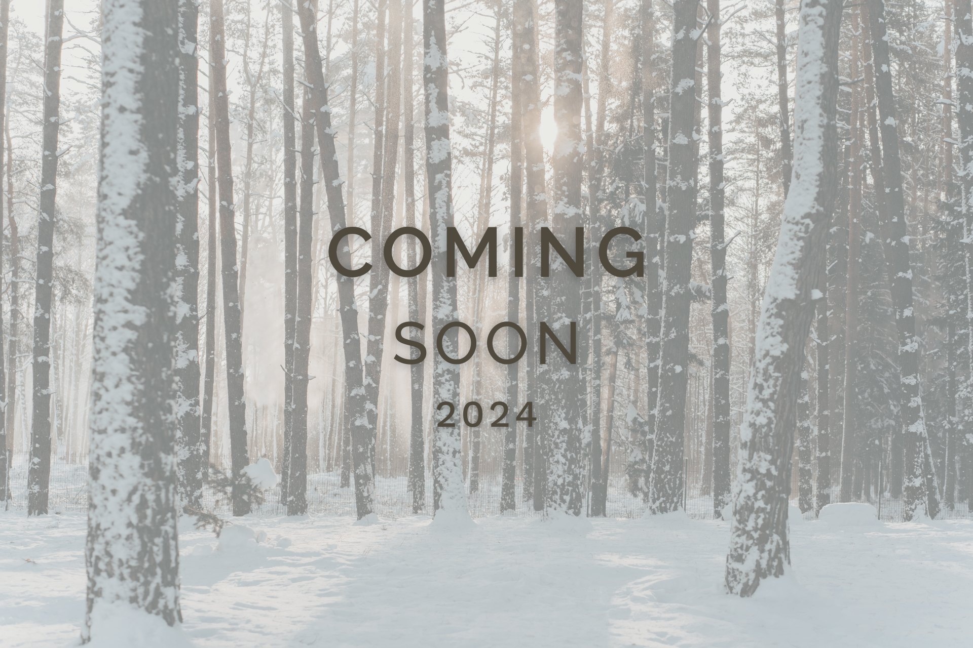 New Almanac every month for 2024 by Sue Cartwright, Spiral Leaf A New Almanac for 2024 - Coming Soon by Sue Cartwright, Spiral Leaf