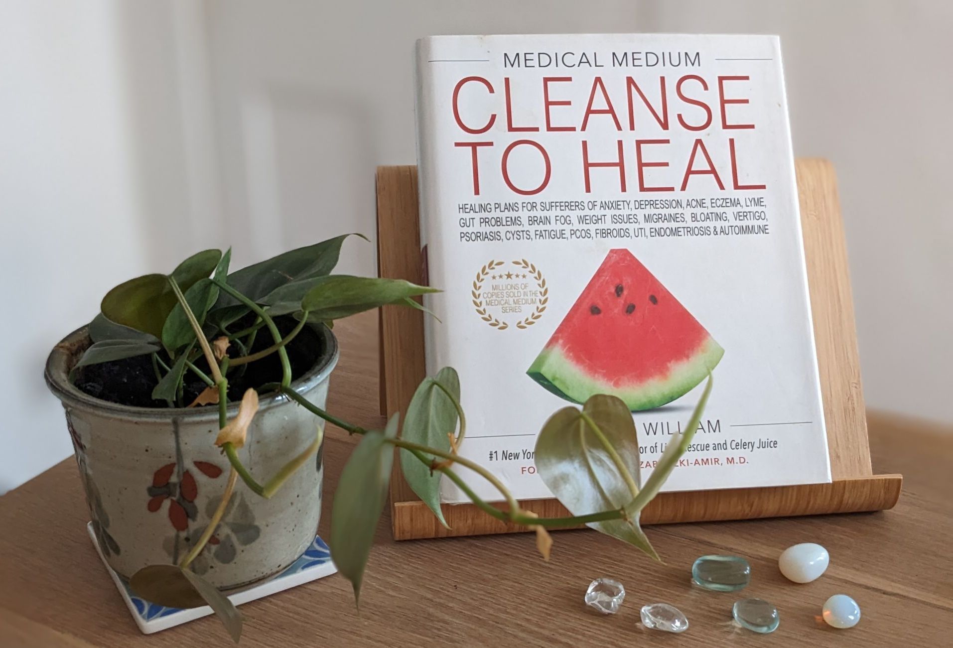 Going Organic is a Journey by Sue Cartwright, Spiral Leaf
