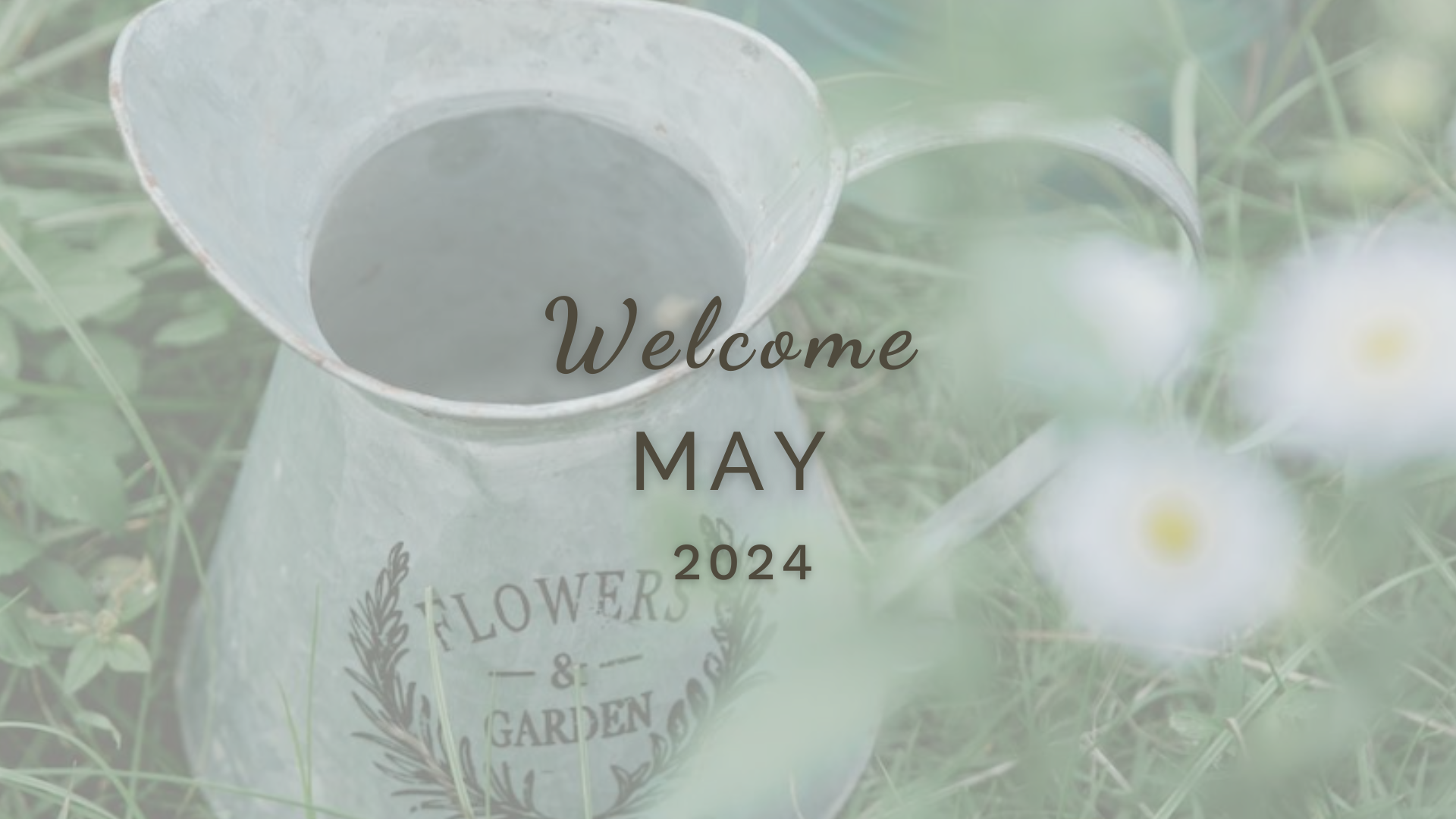 Welcome May (Almanac 2024) by Sue Cartwright, Spiral Leaf Welcome May (Almanac 2024) by Sue Cartwright, Spiral Leaf
