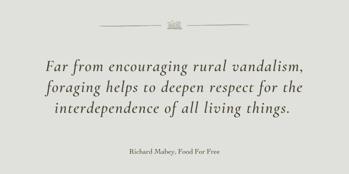 Food For Free by Richard Mabey - Book Review by Sue Cartwright, Spiral Leaf