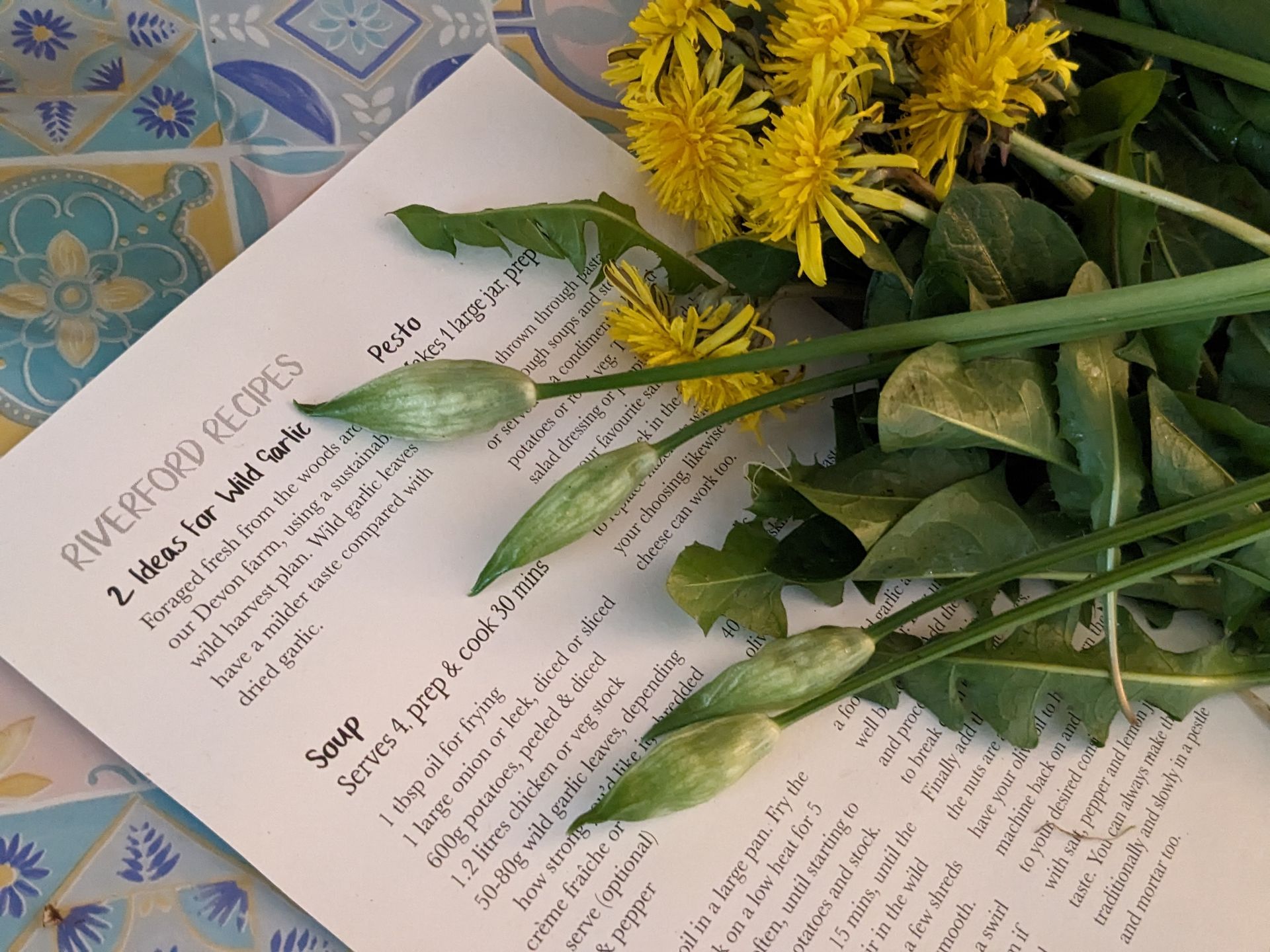 Foraging for Nature's Bounty by Sue Cartwright, Spiral Leaf