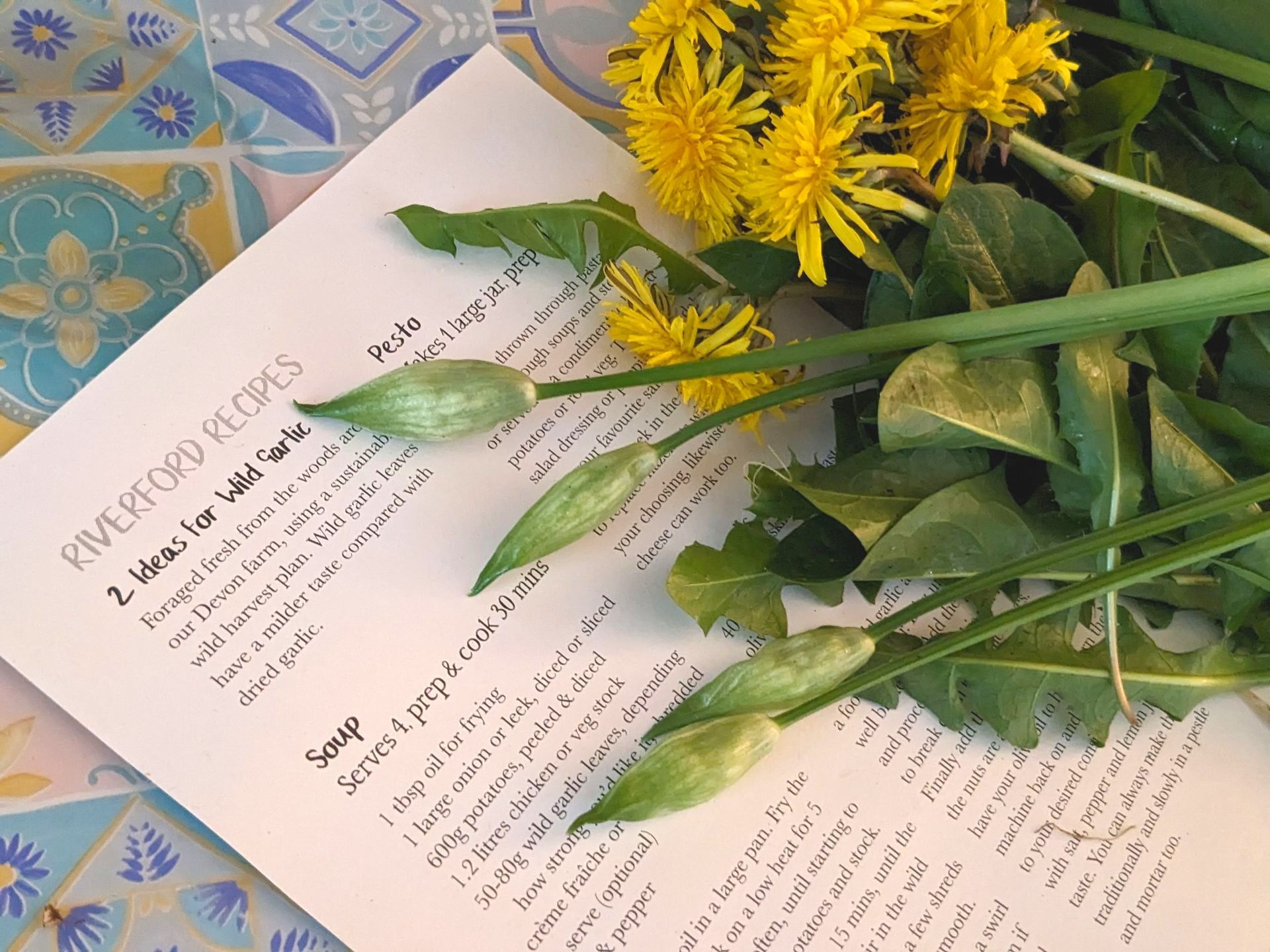 The Wonders of Wild Food by Sue Cartwright, Spiral Leaf The Wonders of Wild Food by Sue Cartwright, Spiral Leaf