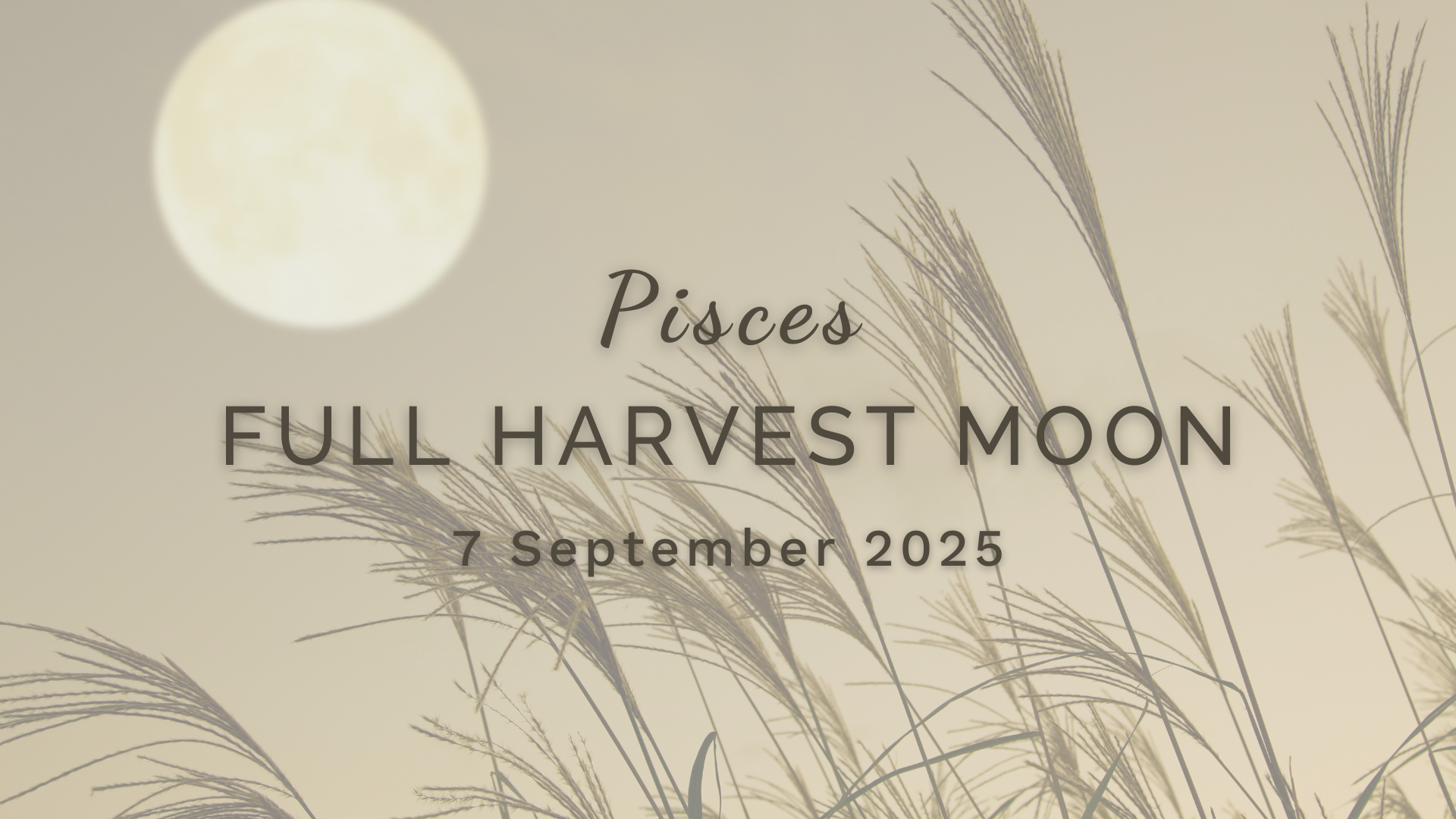 Full Harvest Moon in Pisces - Sunday 7 September (2025) by Sue Cartwright, Spiral Leaf